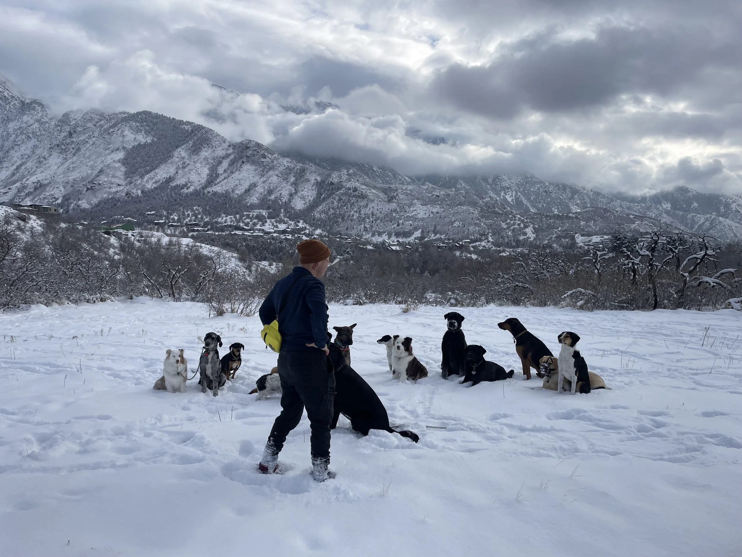 A person with a dog sitting in the snow with a snow-covered mountain and cloudy sky in the background.