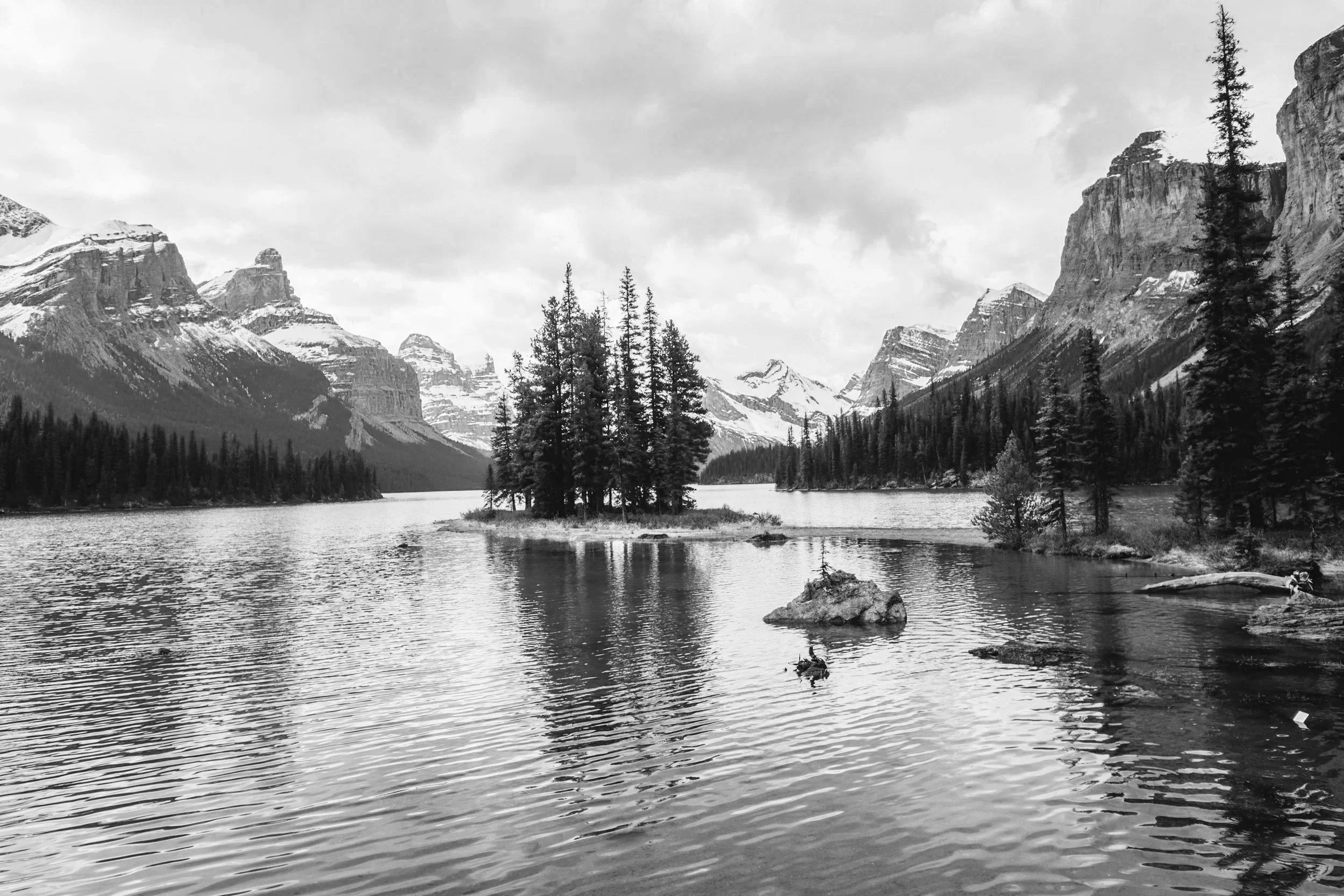 unsplash-image-JzgDBe1ZtSM.jpg