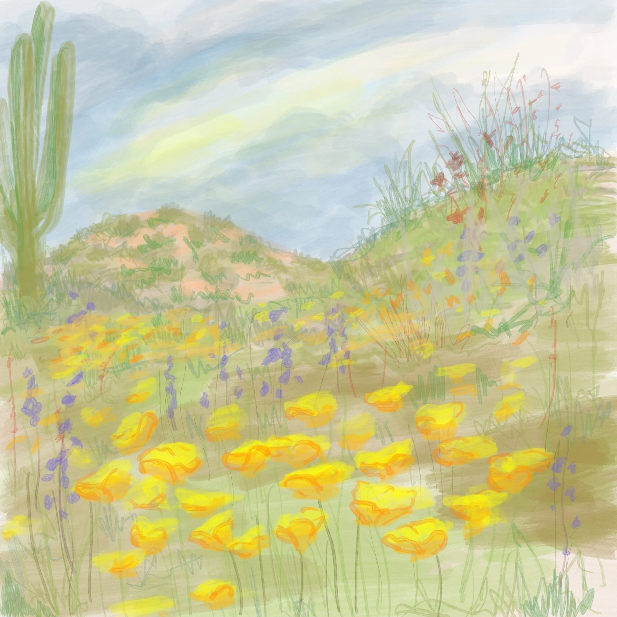 arid landscape digital print