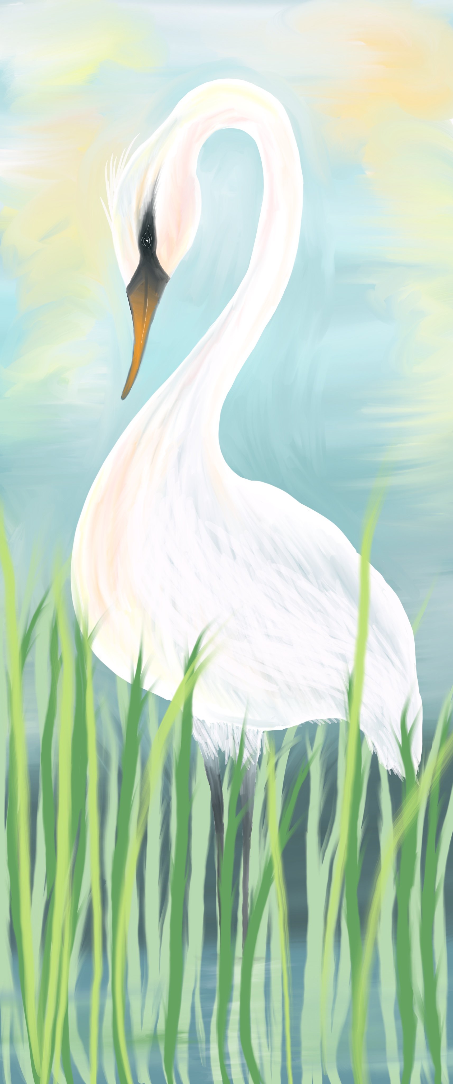 swan digital print