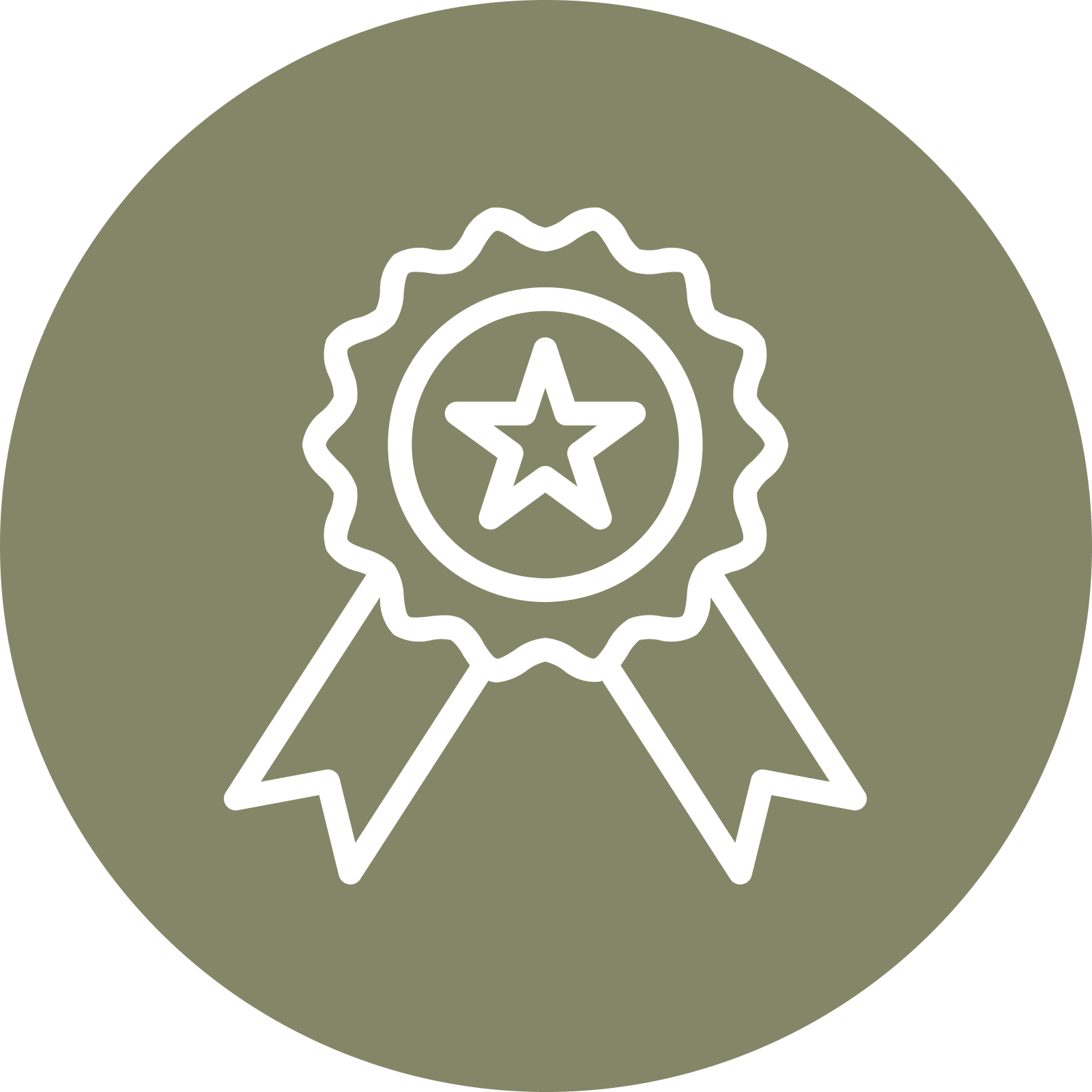 An award ribbon with a star in the center, set against an olive green circular background.