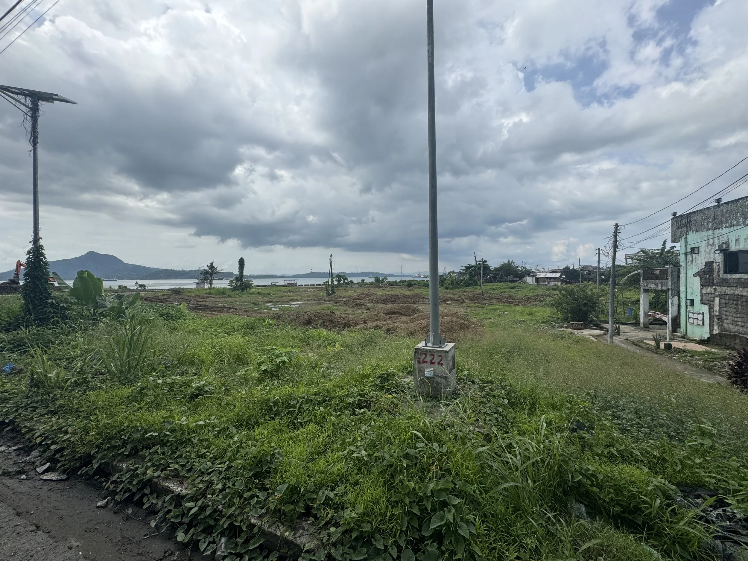 Rethinking resilience and low-carbon development
