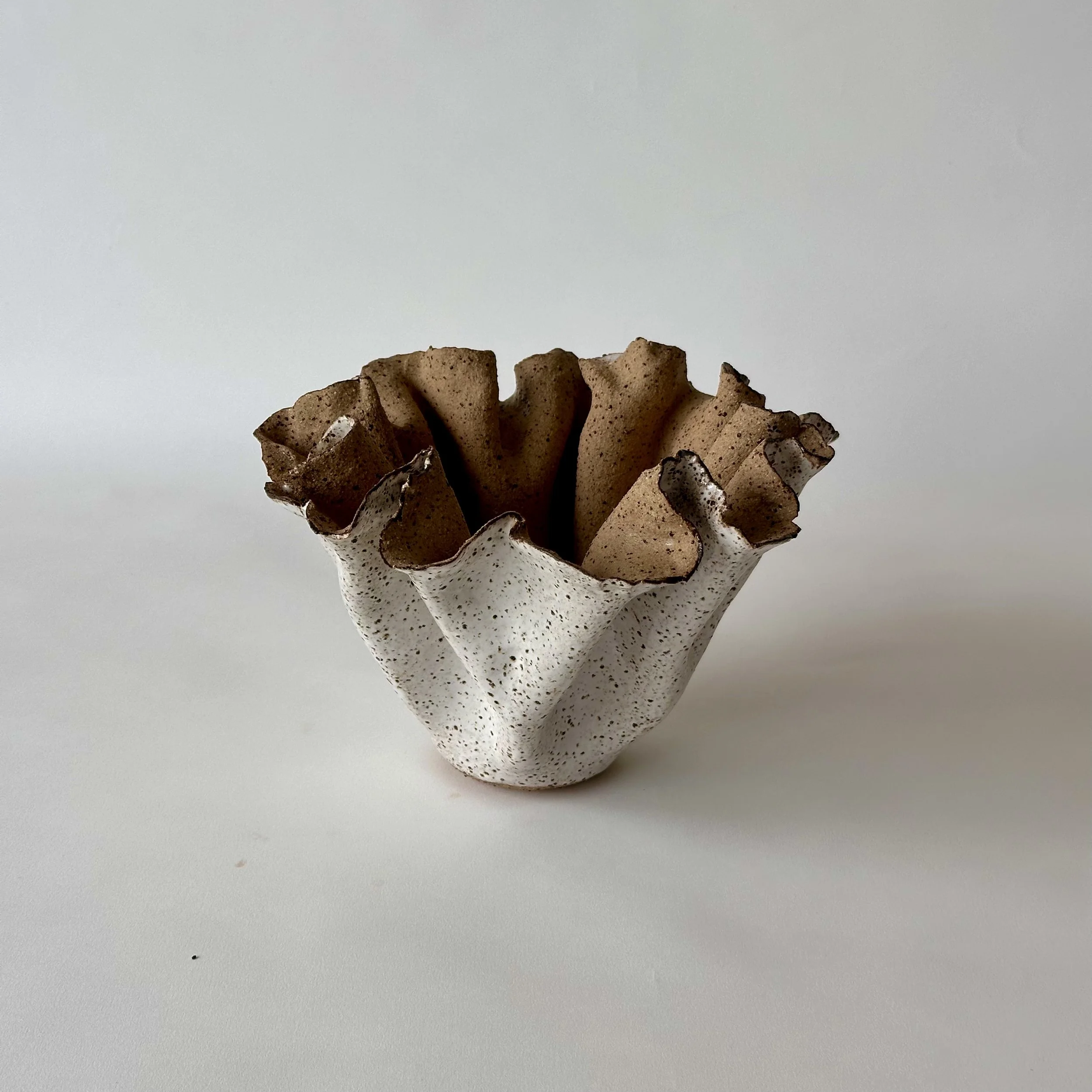 Kelp vessel #13 ,White ,Small .16cm H x 22 W. $125
Click on the image to enquire 