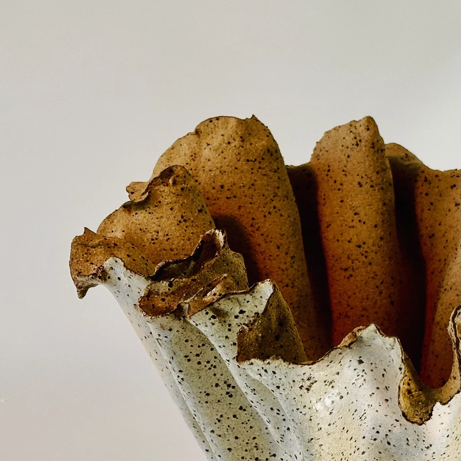 Kelp vessel #10. Pearl lustre .Detail