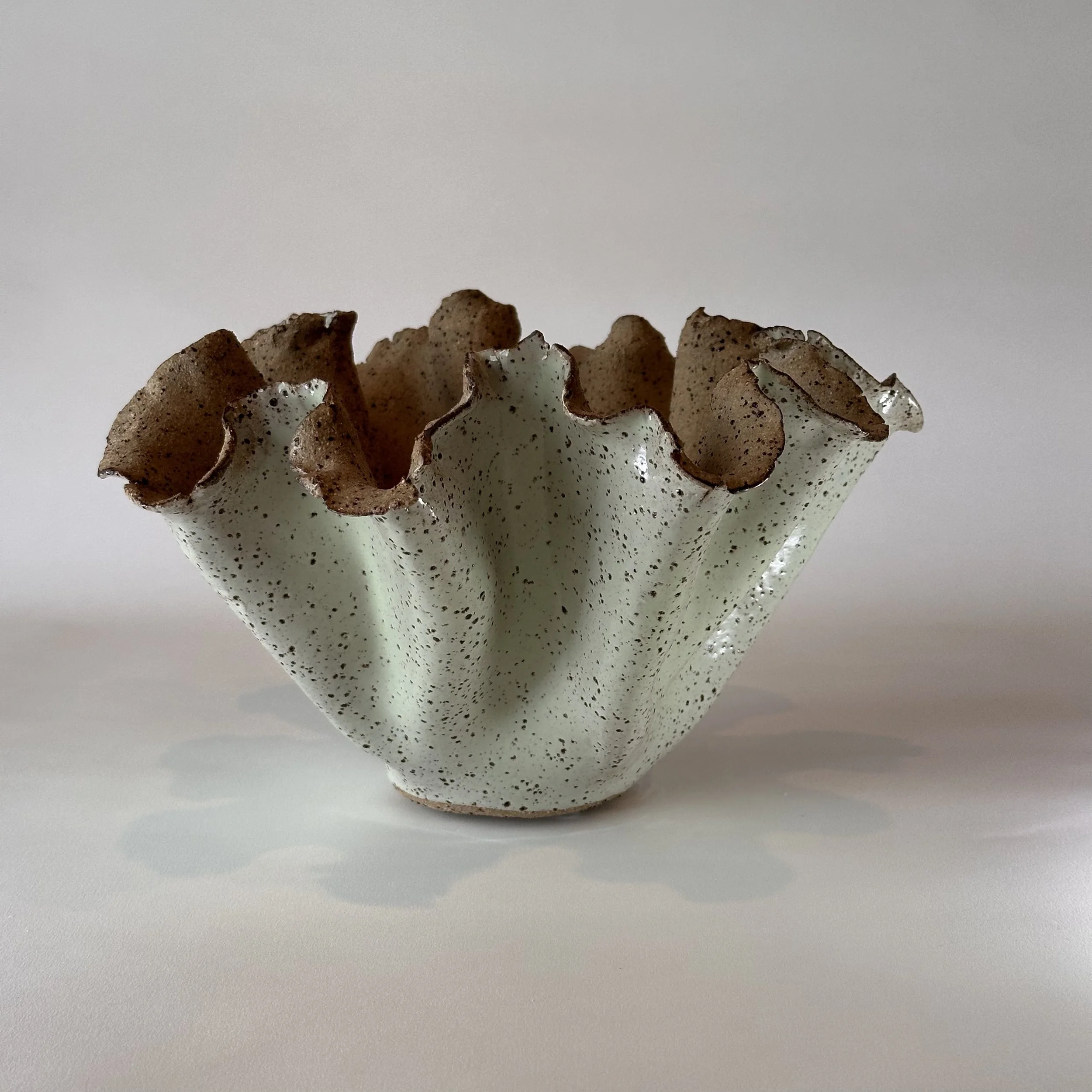 Kelp vessel #12.. Sea green .Small .15 cm H x 26W.      $150 
Click on the image to enquire.