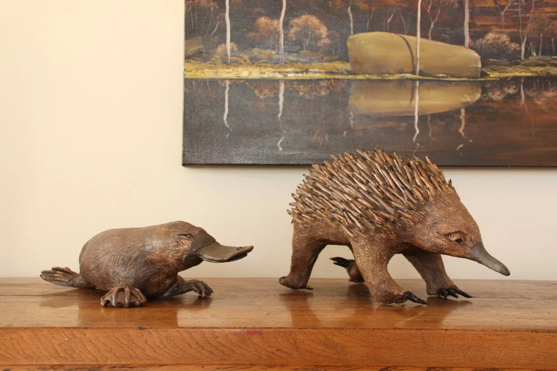 Platypus and echidna.jpeg