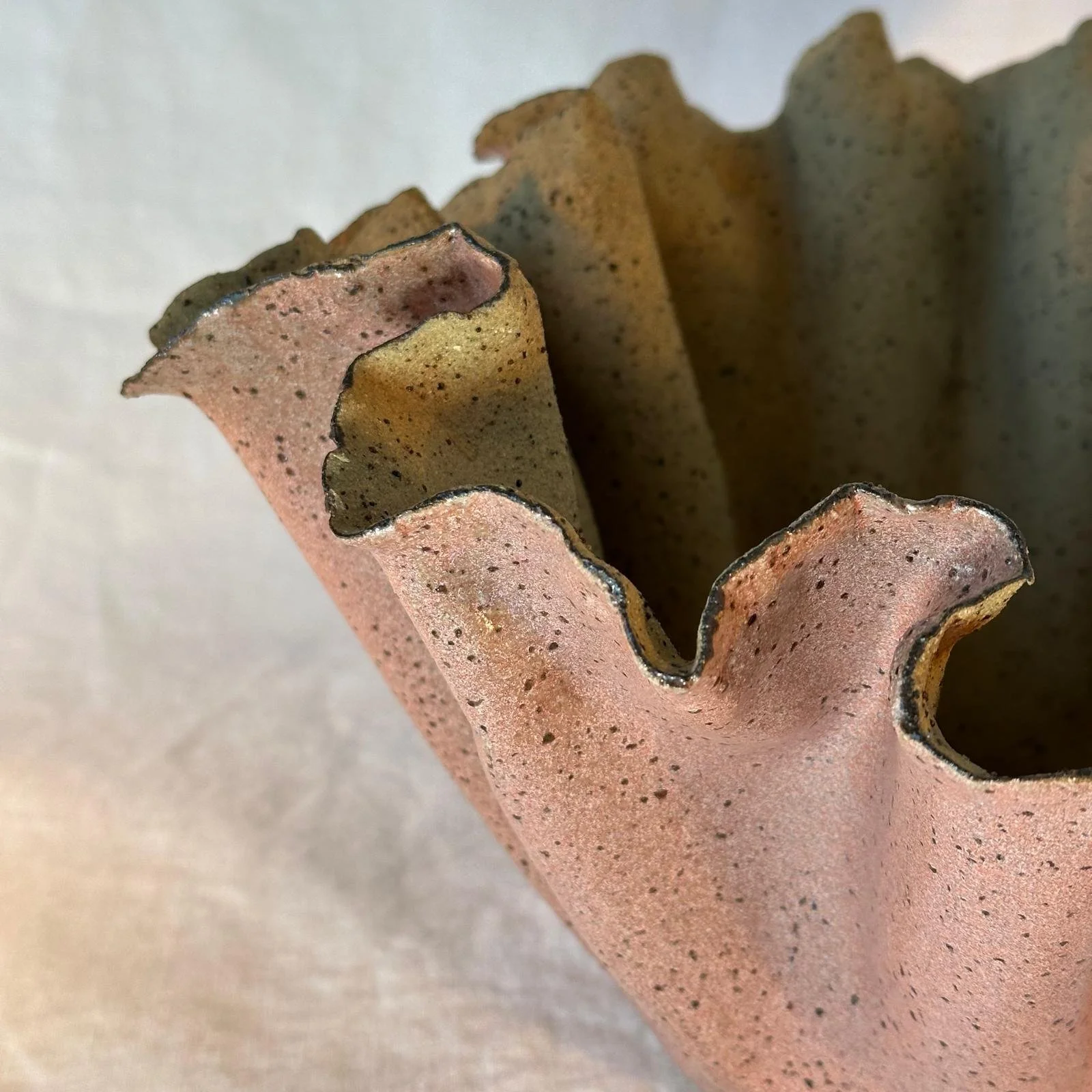 Kelp Vessel series Coral Pink medium 