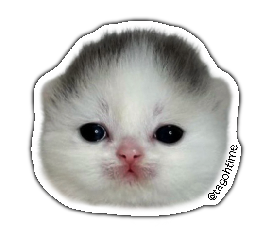 Tagoh sticker (head)