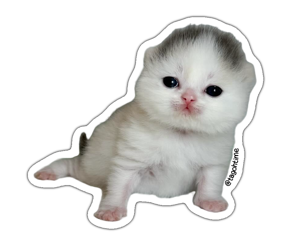 Tagoh sticker