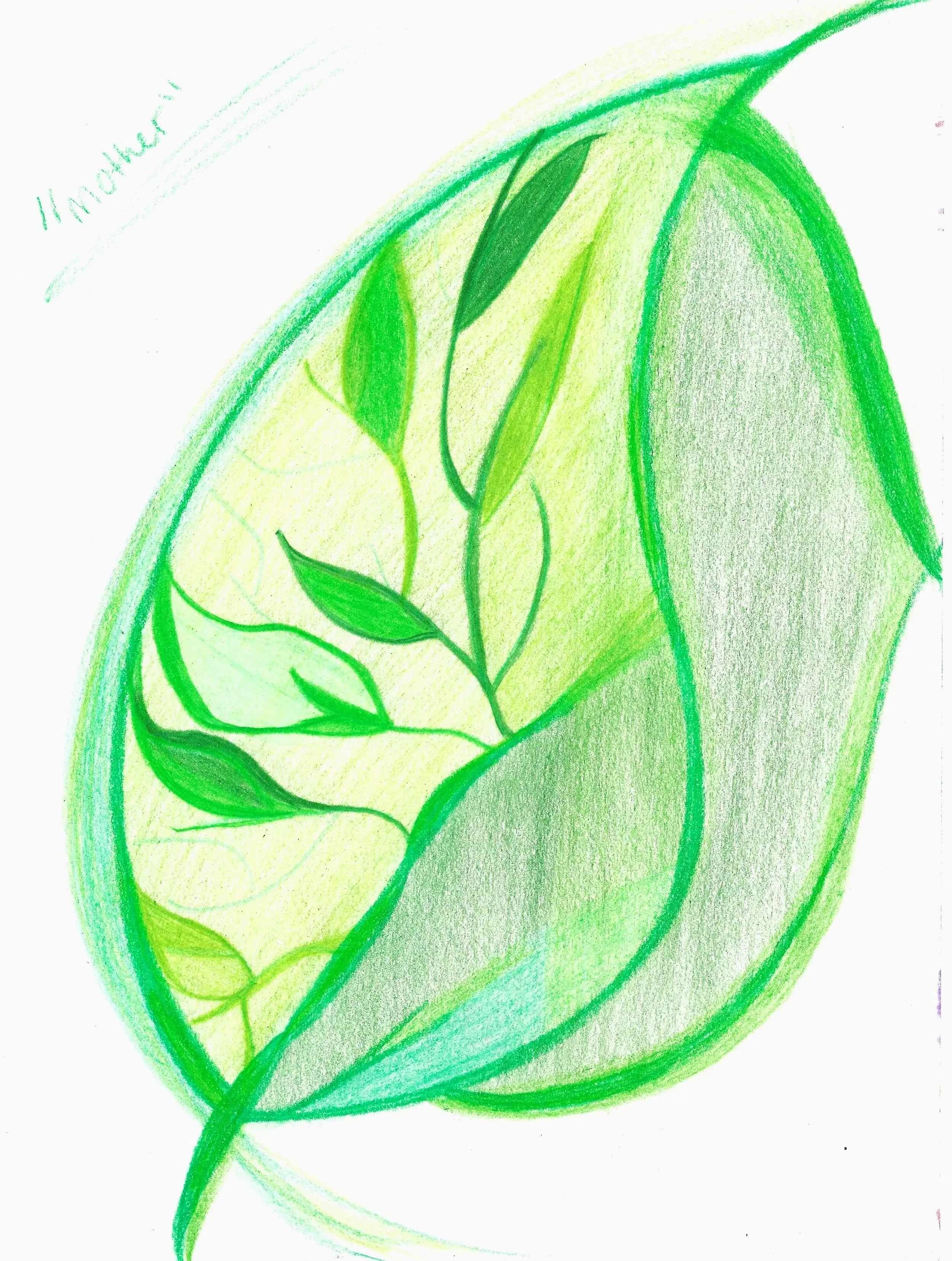 #6
03-01-2026

I see this piece as a reflection of growth—the quiet, intentional kind that begins long before anything beautiful becomes visible.

The seeds have been planted, nurtured, and cared for. Each variation of green represents another stage 