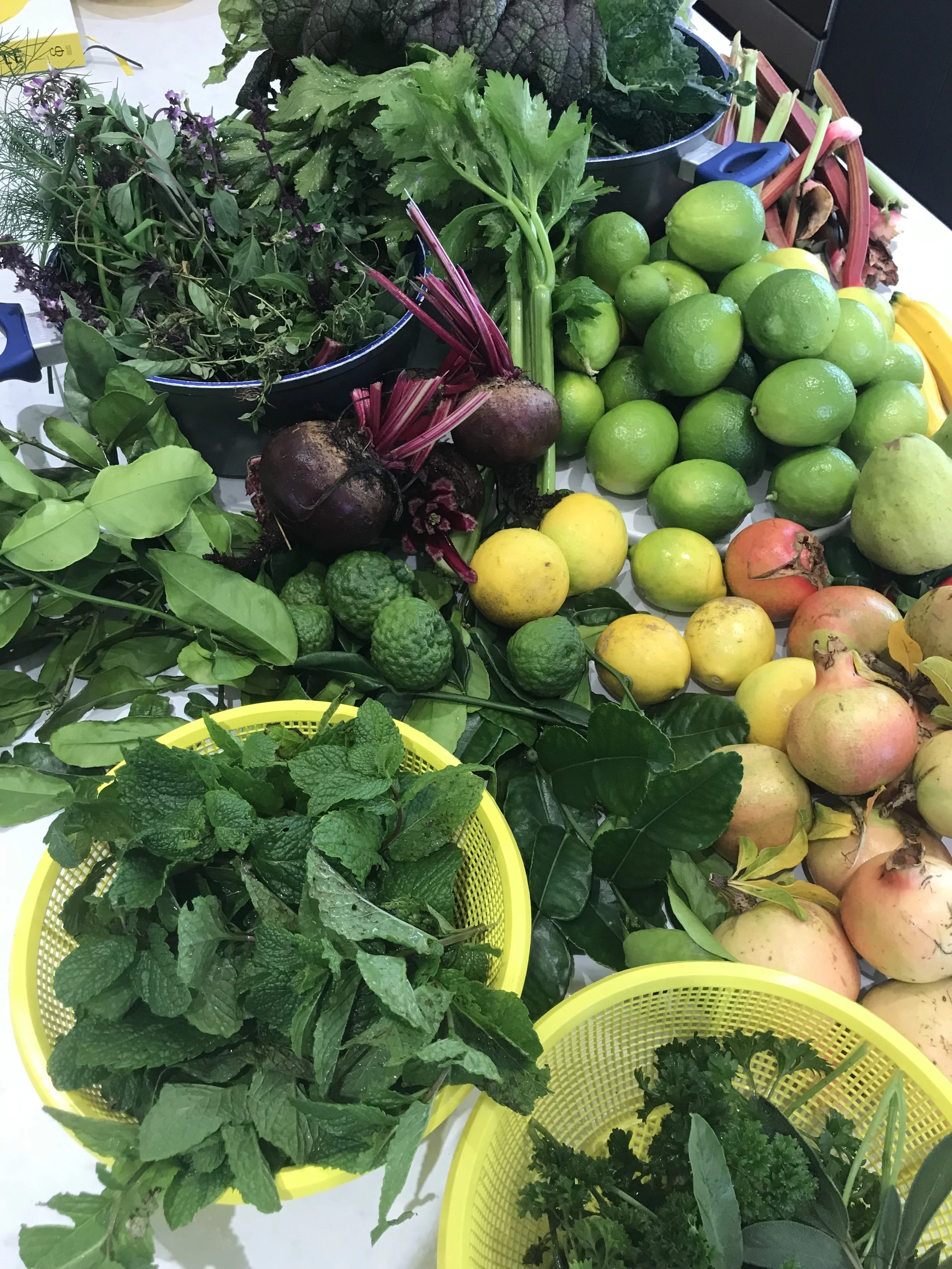 The Lushness of Greens