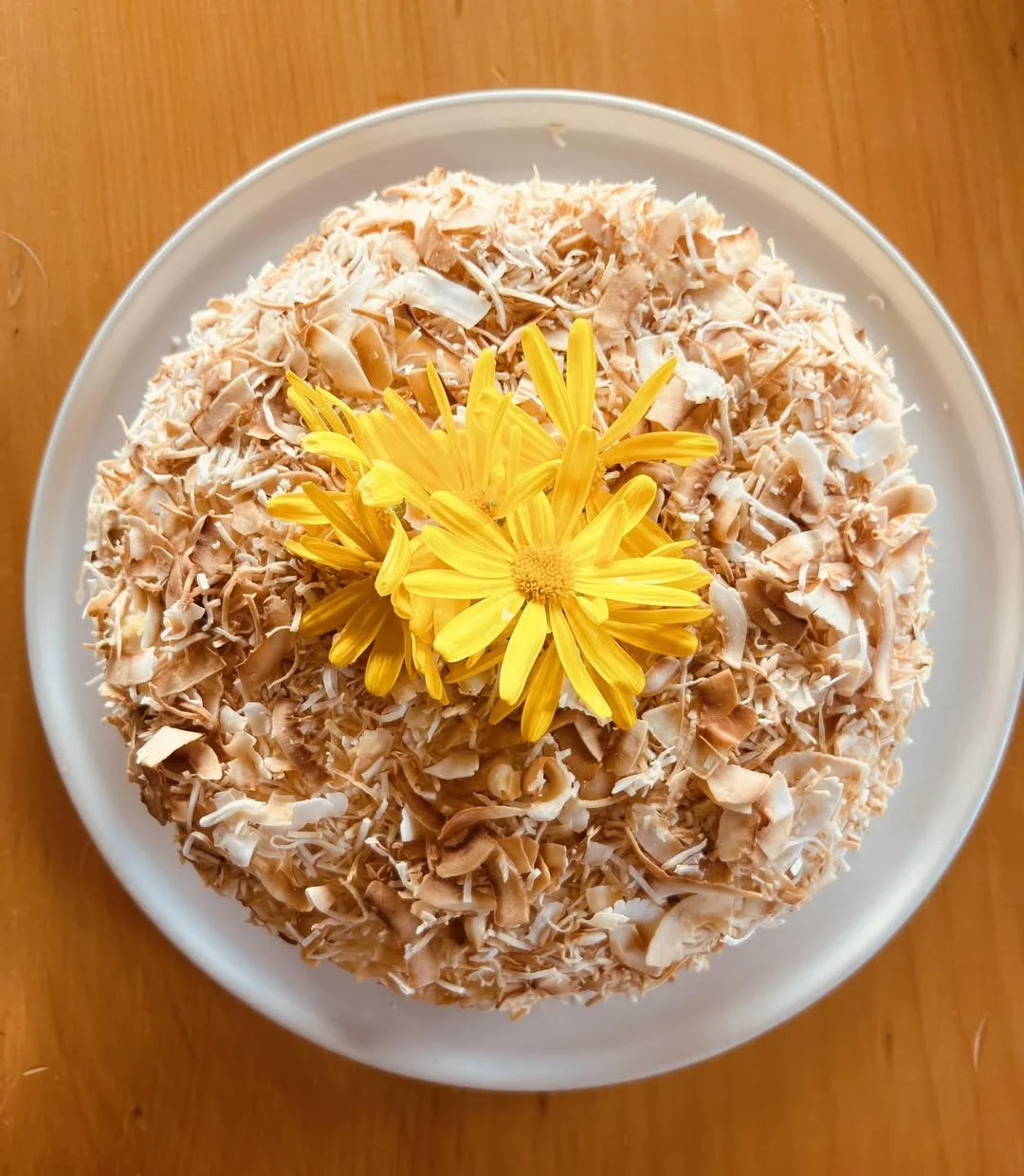 Sunshine coconut.jpg