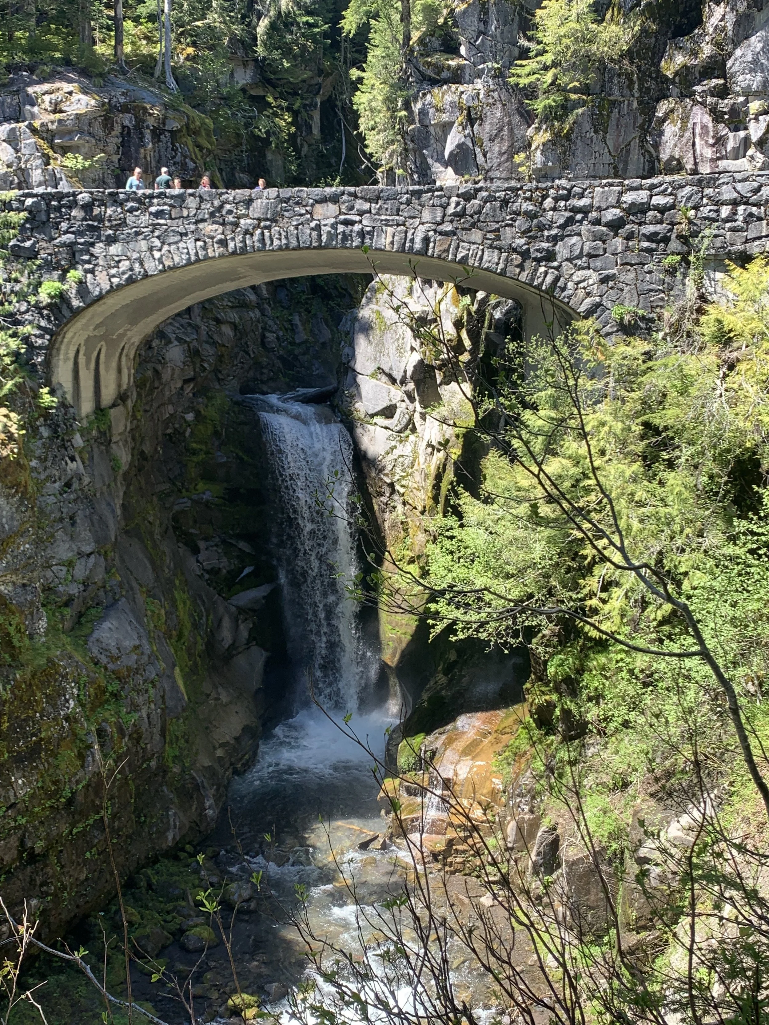 PCSing to Joint Base Lewis-McChord? What to Expect and Where Can You Live?