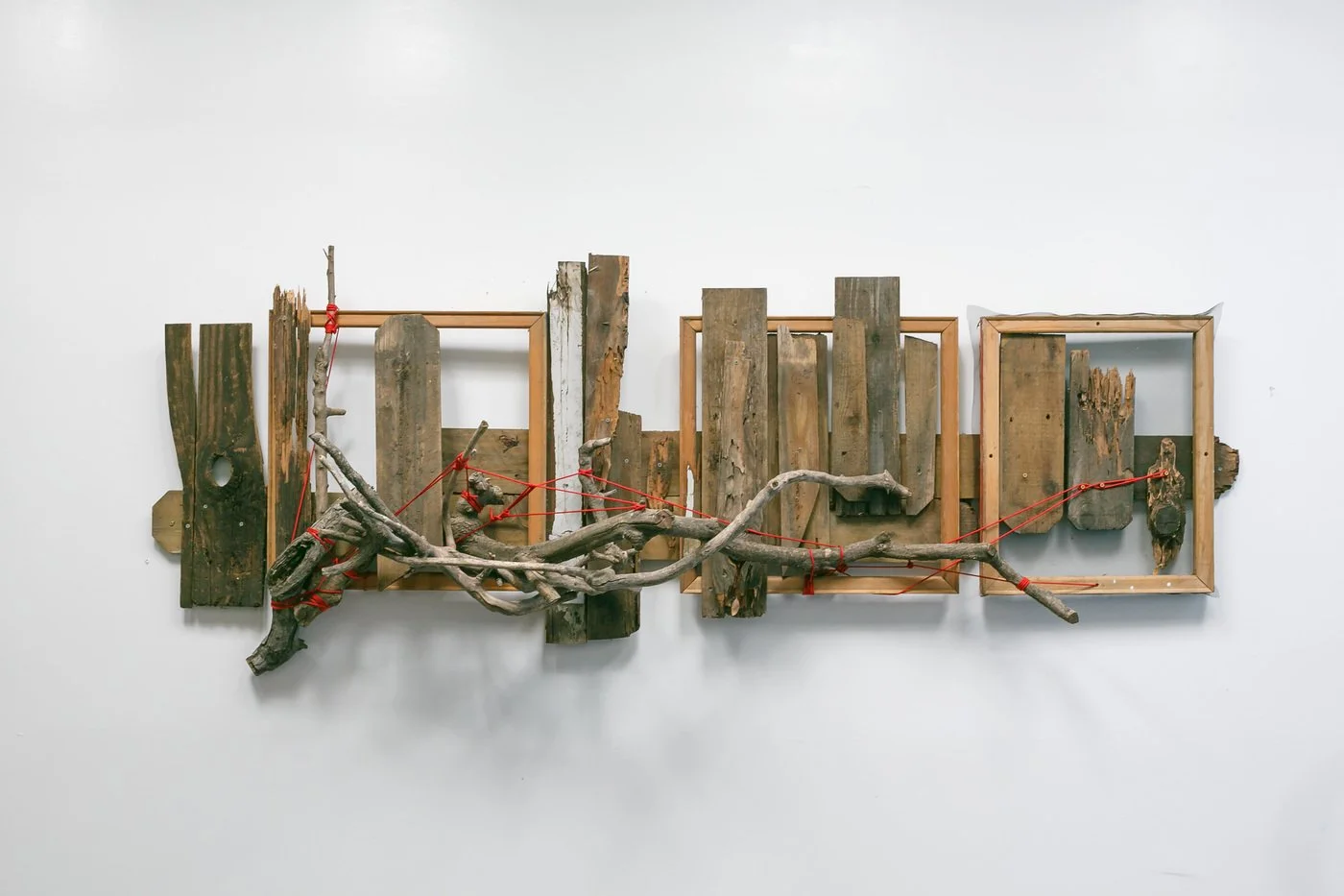 "I Killed My Mother’s Favorite Tree, Then Broke Her Heart.", 2023
Branch from Her Favorite Tree, Remains of Our Past, Nylon.
36 x 96 x 18 in.
"I thought I was doing the right thing, for all of the right reasons… but there would never be enough reason