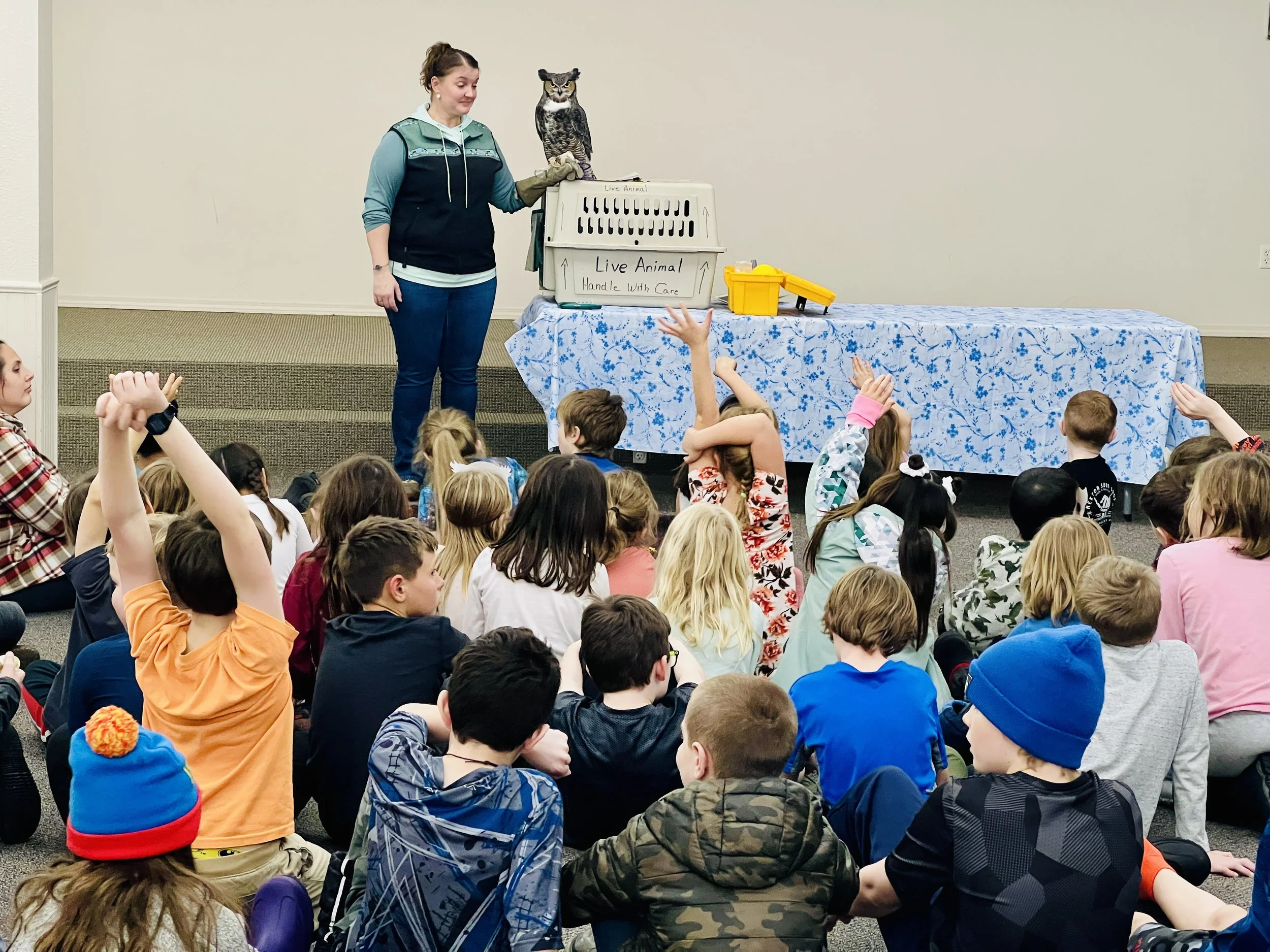 A woman in a vest and gloves standing next to a live owl on her arm at a presentation, with children sitting on the floor raising their hands in a room with plain walls and tables.