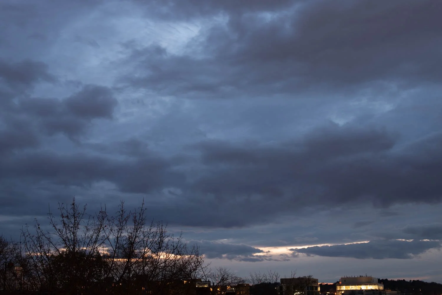 20201115-_MG_3515.jpg