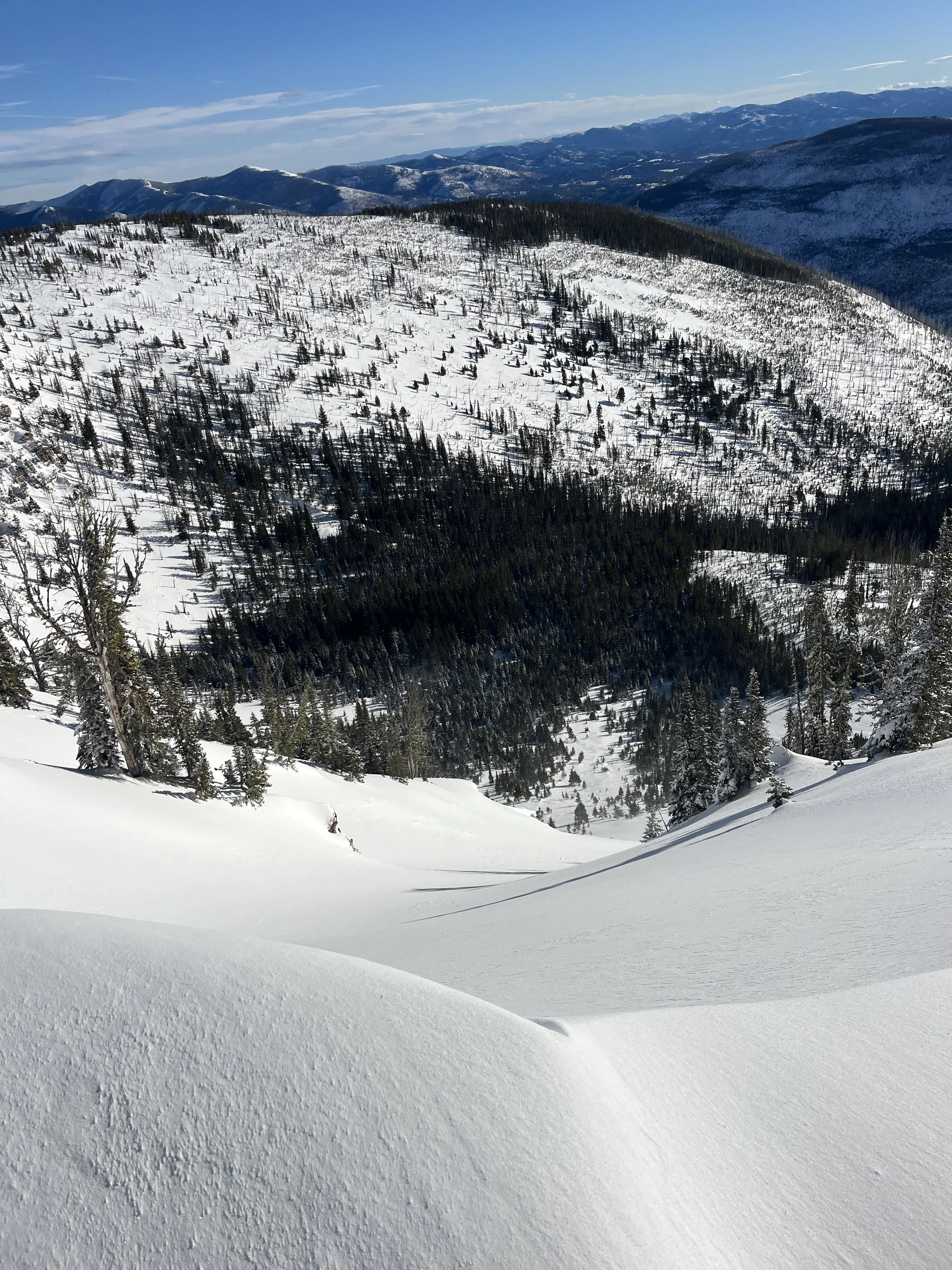 Avalanche Central