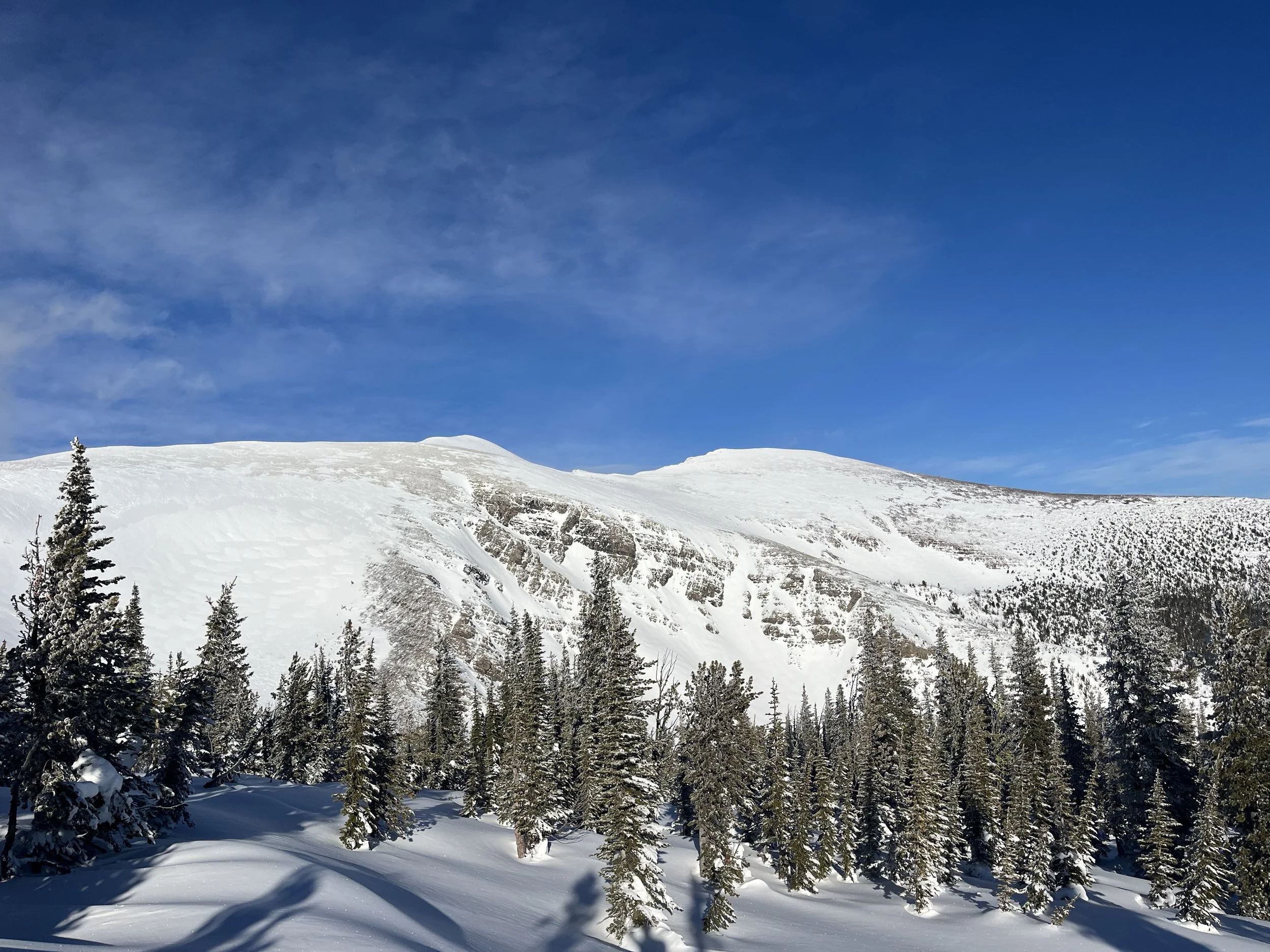 View of the summit looking North