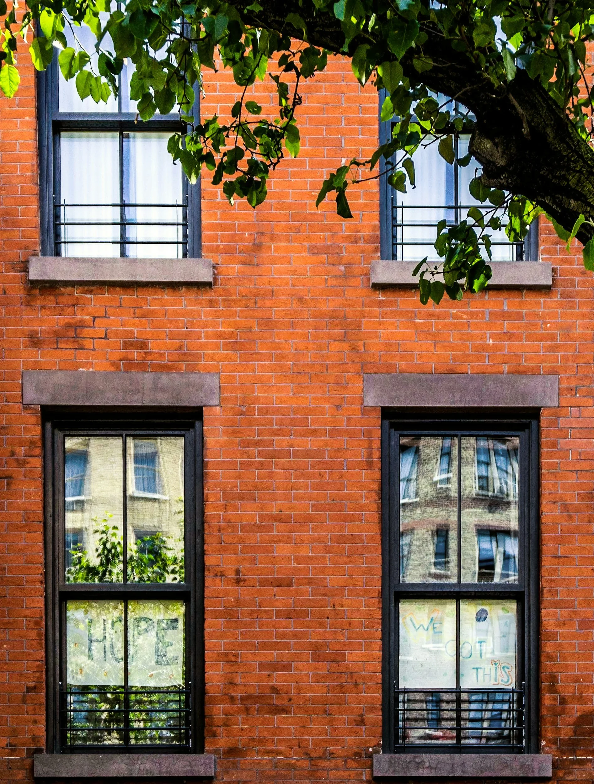 Brick building with four tall windows, each with black frames and barred balconies, and writing visible on the lower windows. A tree with green leaves partially obscures the upper right window.