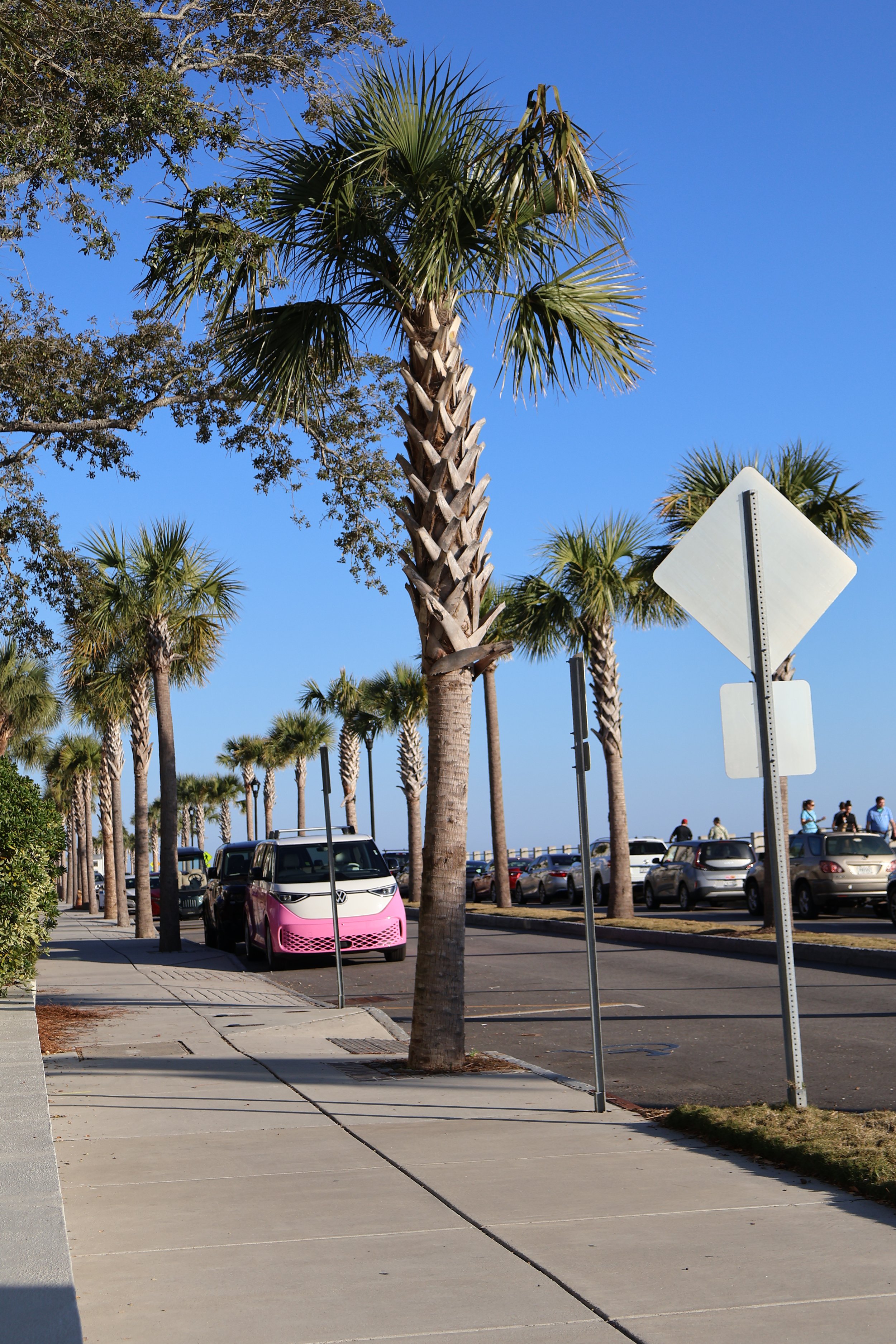 Palm trees planted along a sidewalk with a parking lot filled with cars, a pink and white vehicle in the foreground, and a clear blue sky. There are people walking and traffic signs visible.