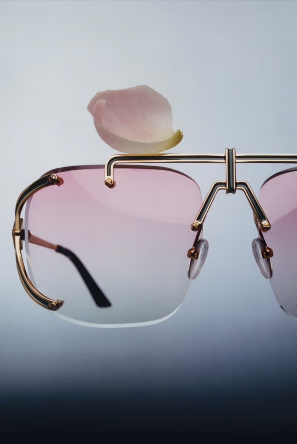 Close-up of sunglasses with pink lenses and gold frame, with a pink and white flower petal balanced on top of the sunglasses.
