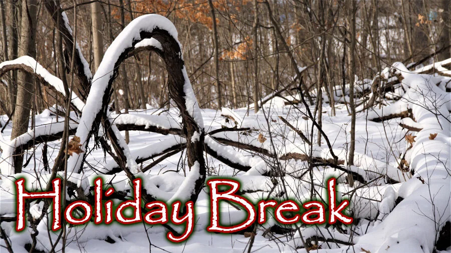 ChristmasBreak.jpg
