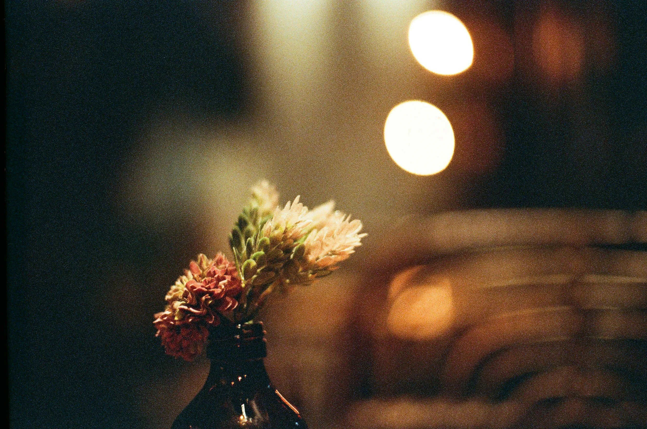 Wild flowers in a vase with bright lights