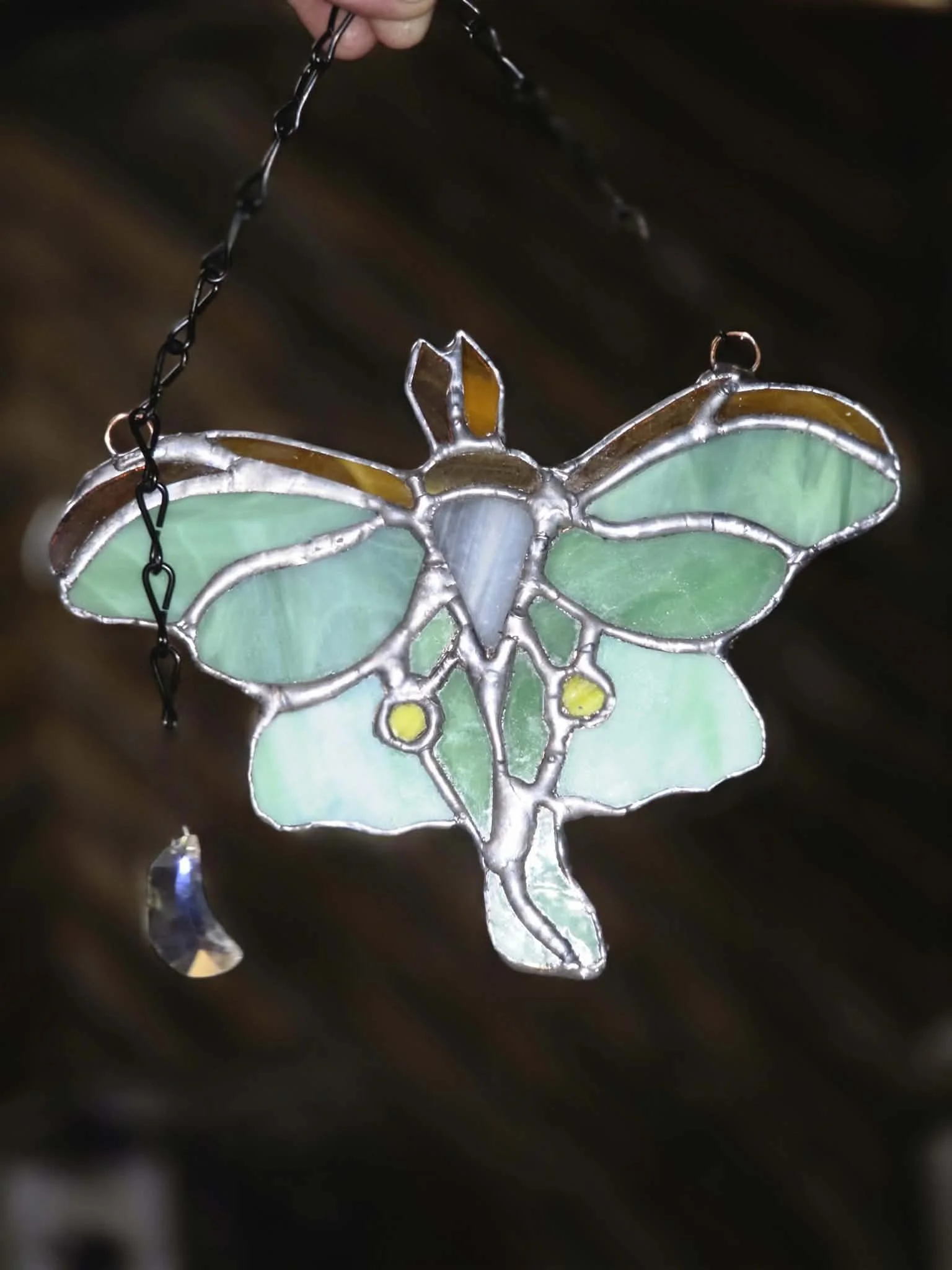 stained glass luna moth