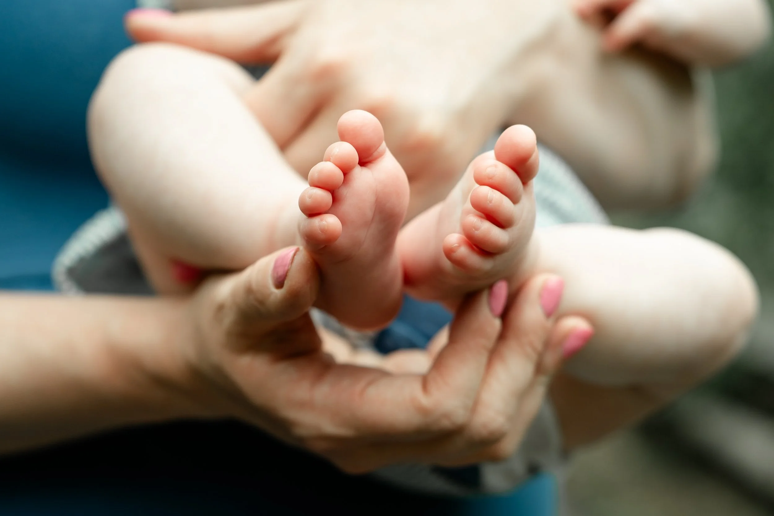 Chicago Family Photos 2026 - Tricia's Favorites_24.jpg