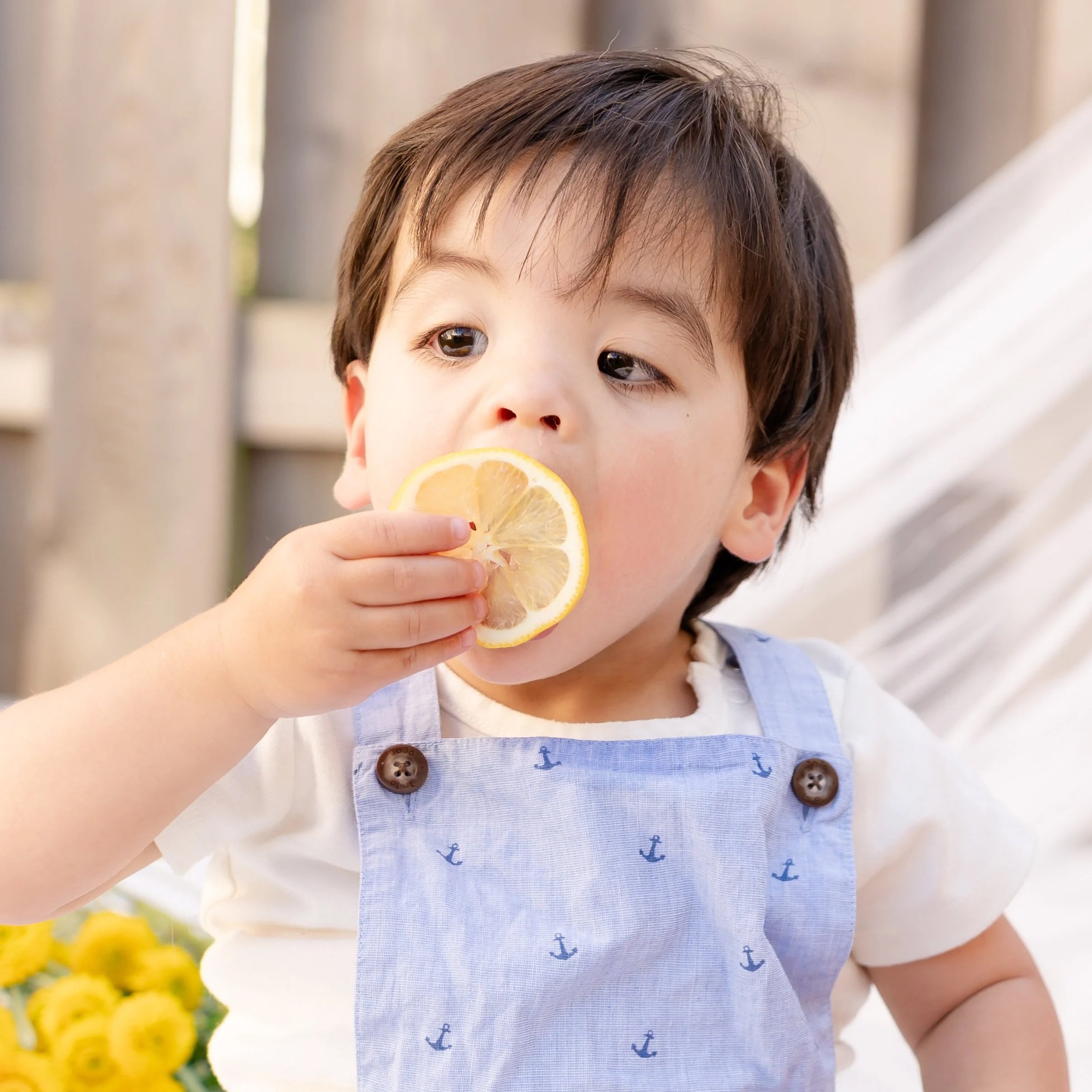Close-up of a young boy holding lemon slices near his face, wearing a light-colored shirt and a blue apron with a nautical pattern, in a sunny outdoor setting with yellow flowers in the background located in Glenview IL.