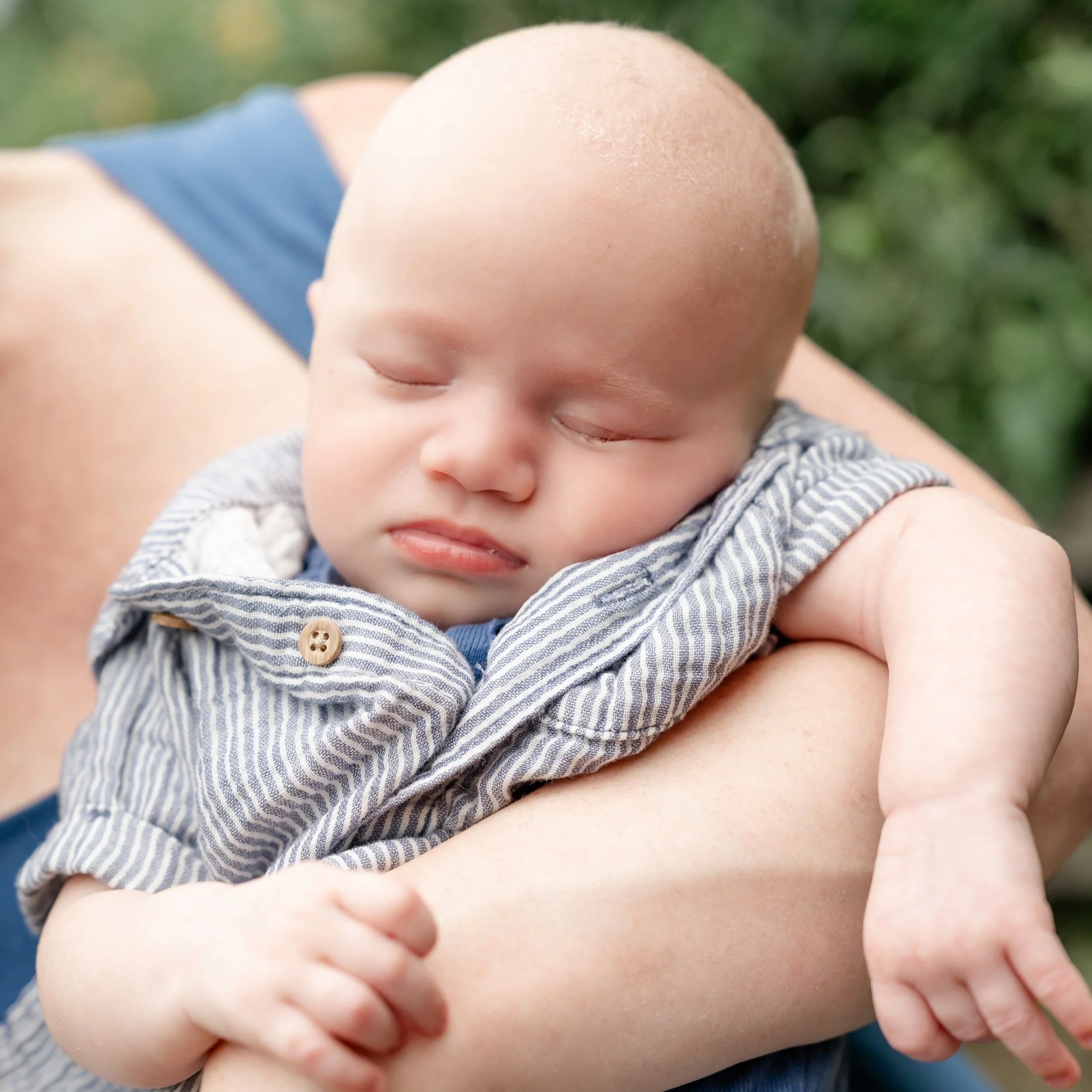 Close-up of a baby being held by an adult outdoors, wearing a striped shirt and blue shorts, surrounded by green foliage in Glenview IL.
