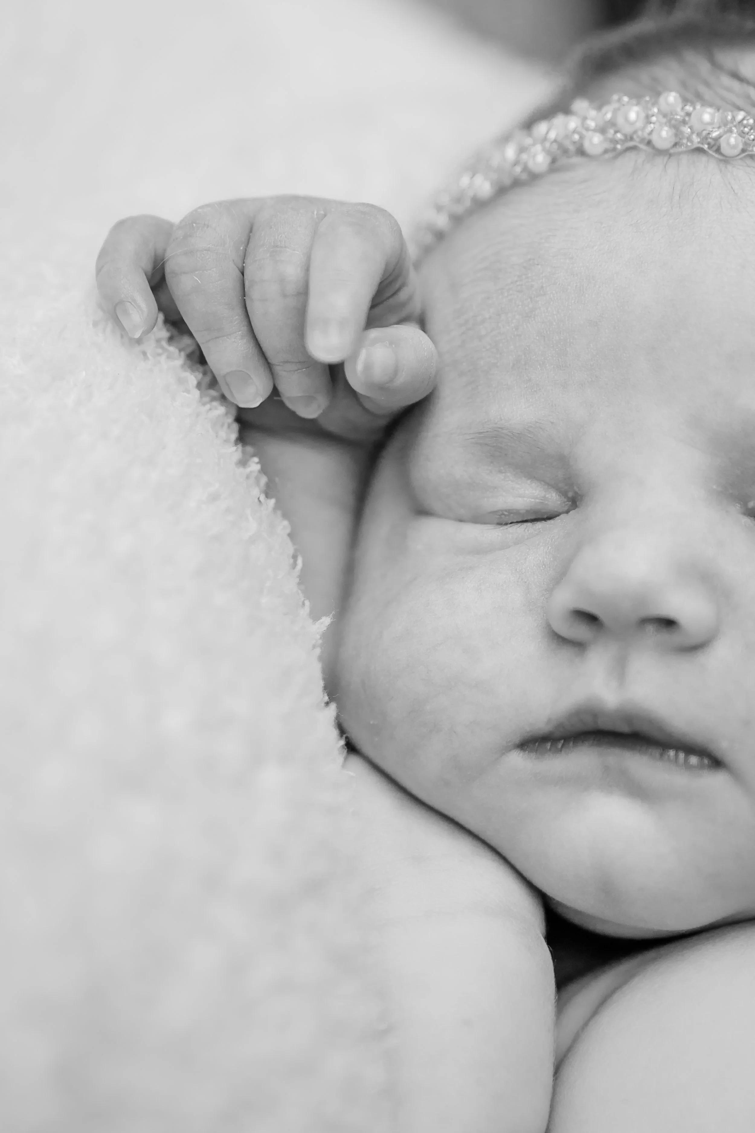 Newborn Photos Photography Glenview North Shore Chicago Winnetka 16.jpg