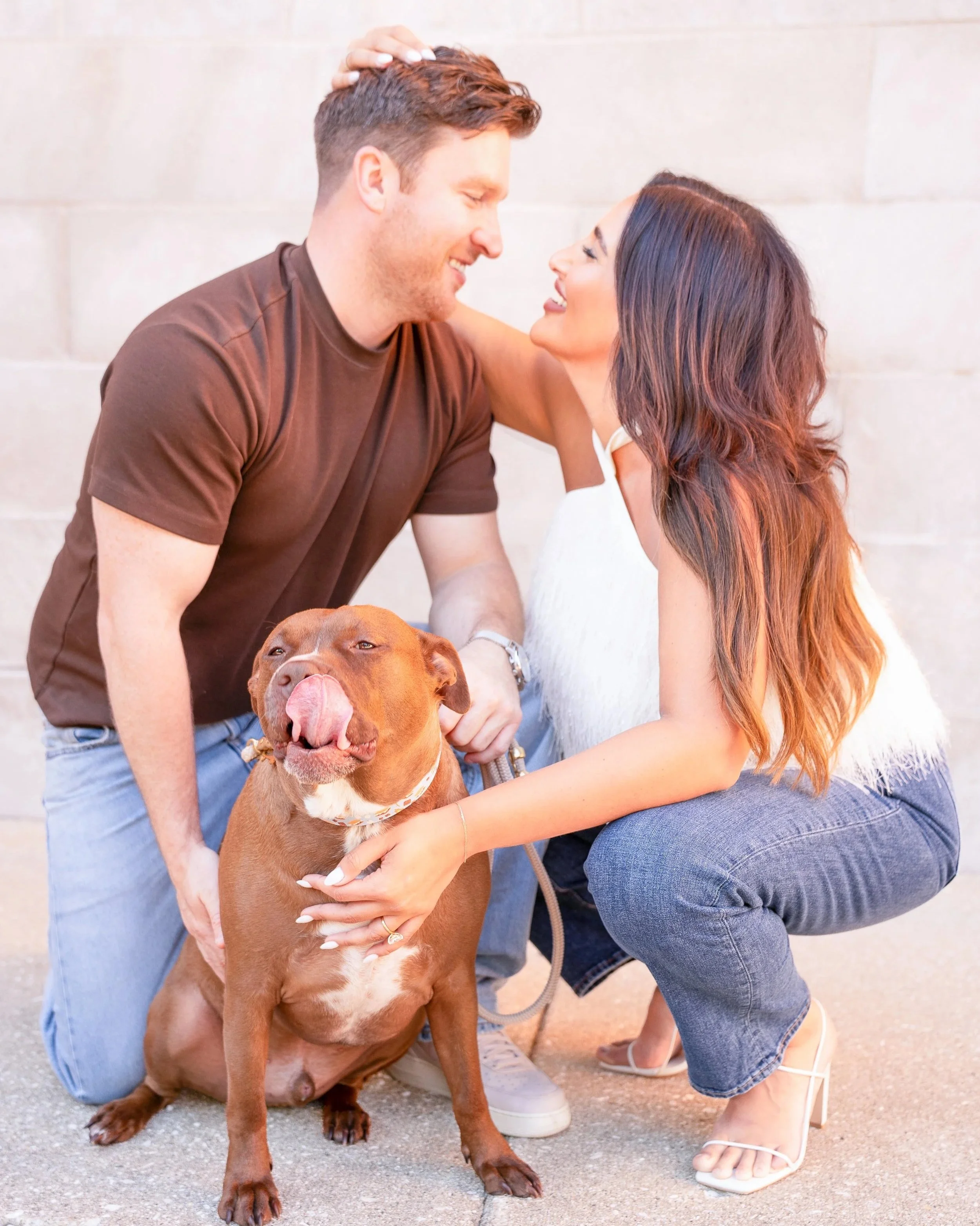 A man and woman smiling at each other while interacting with a large brown and white dog in an outdoor setting with a concrete wall background.