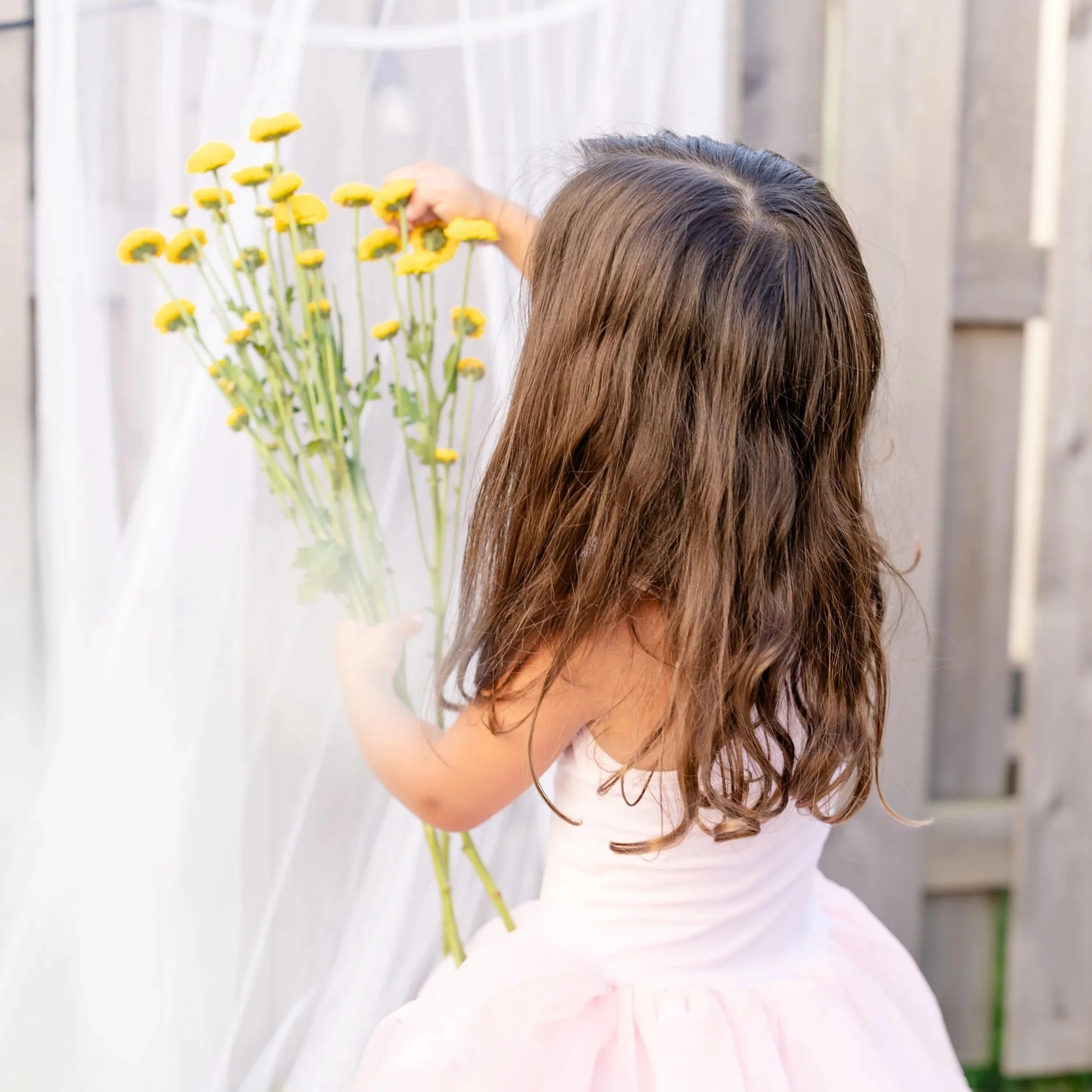 Woman with long brown hair reaching to touch yellow flowers against a white background located in Glenview IL.