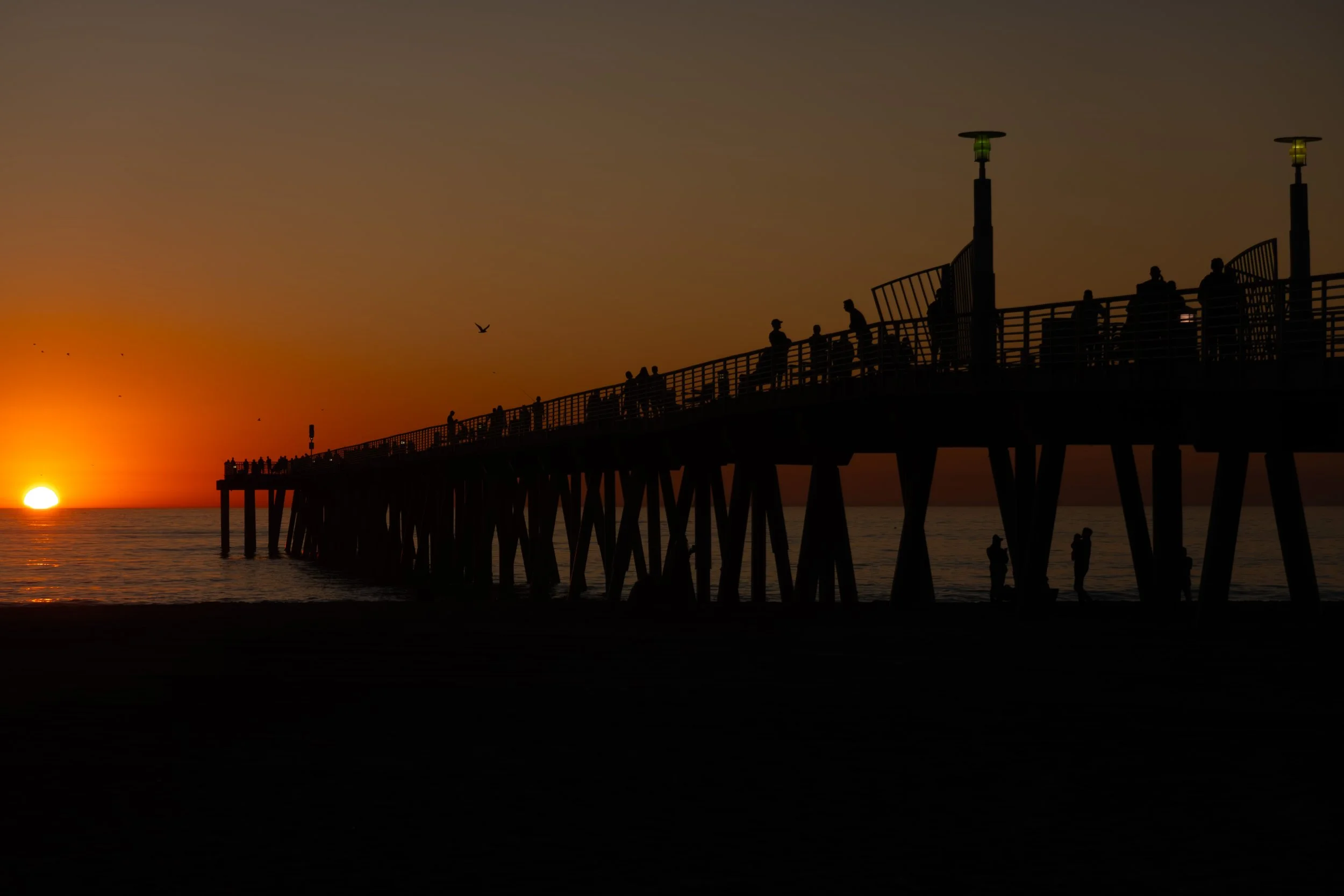 Landscapes WebSite - 060.jpg