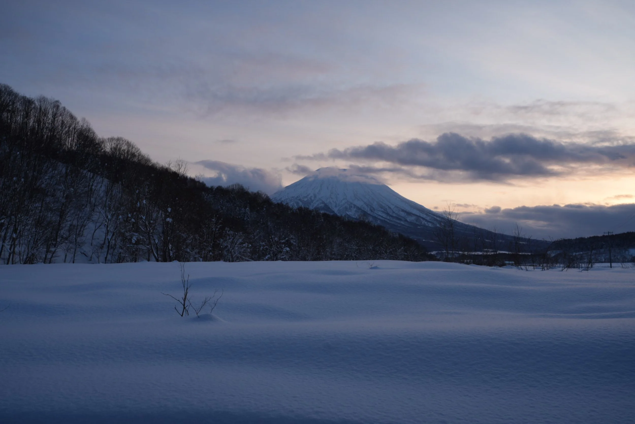 Landscapes WebSite - 028.jpg