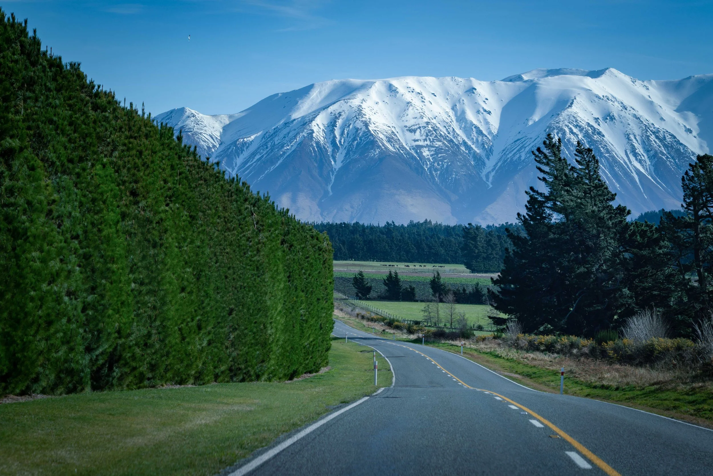 Landscapes WebSite - 029.jpg