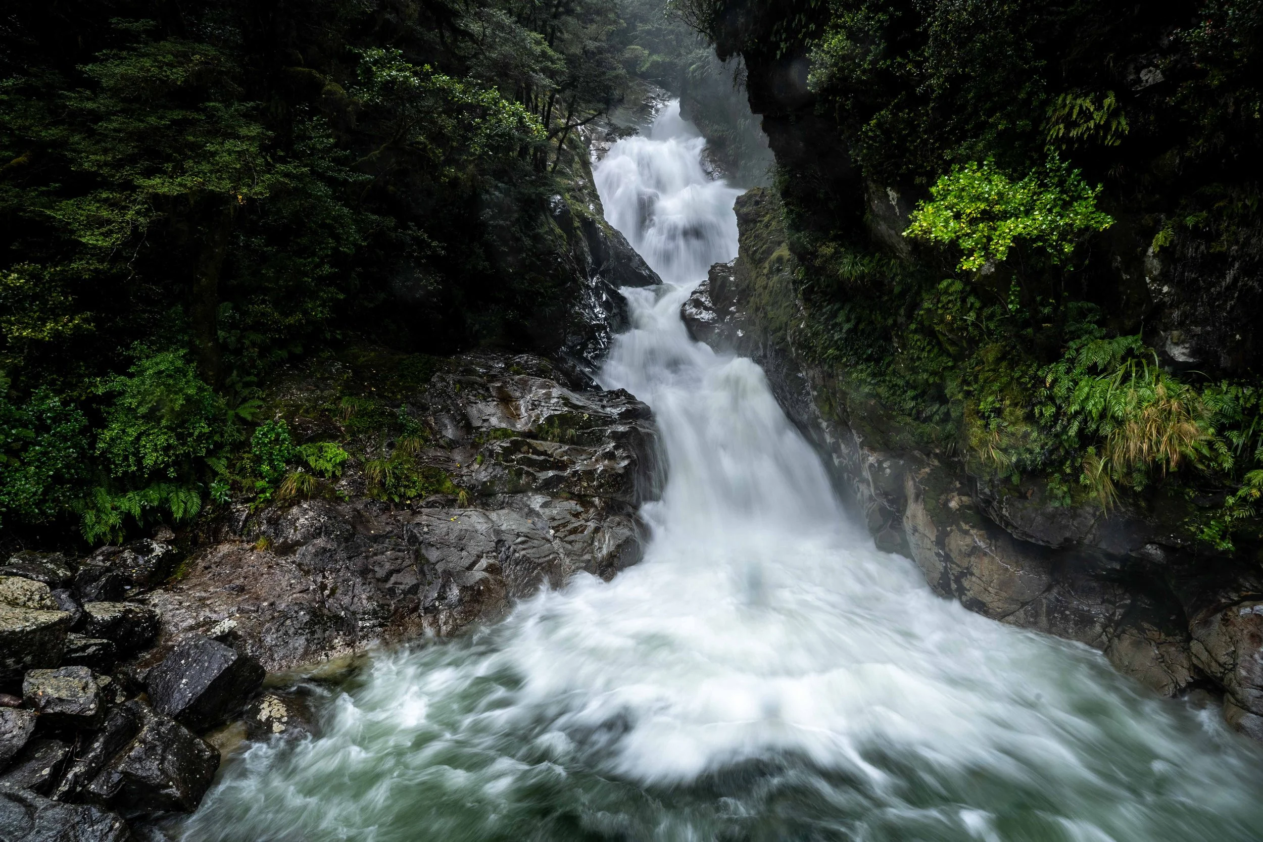 Landscapes WebSite - 017.jpg