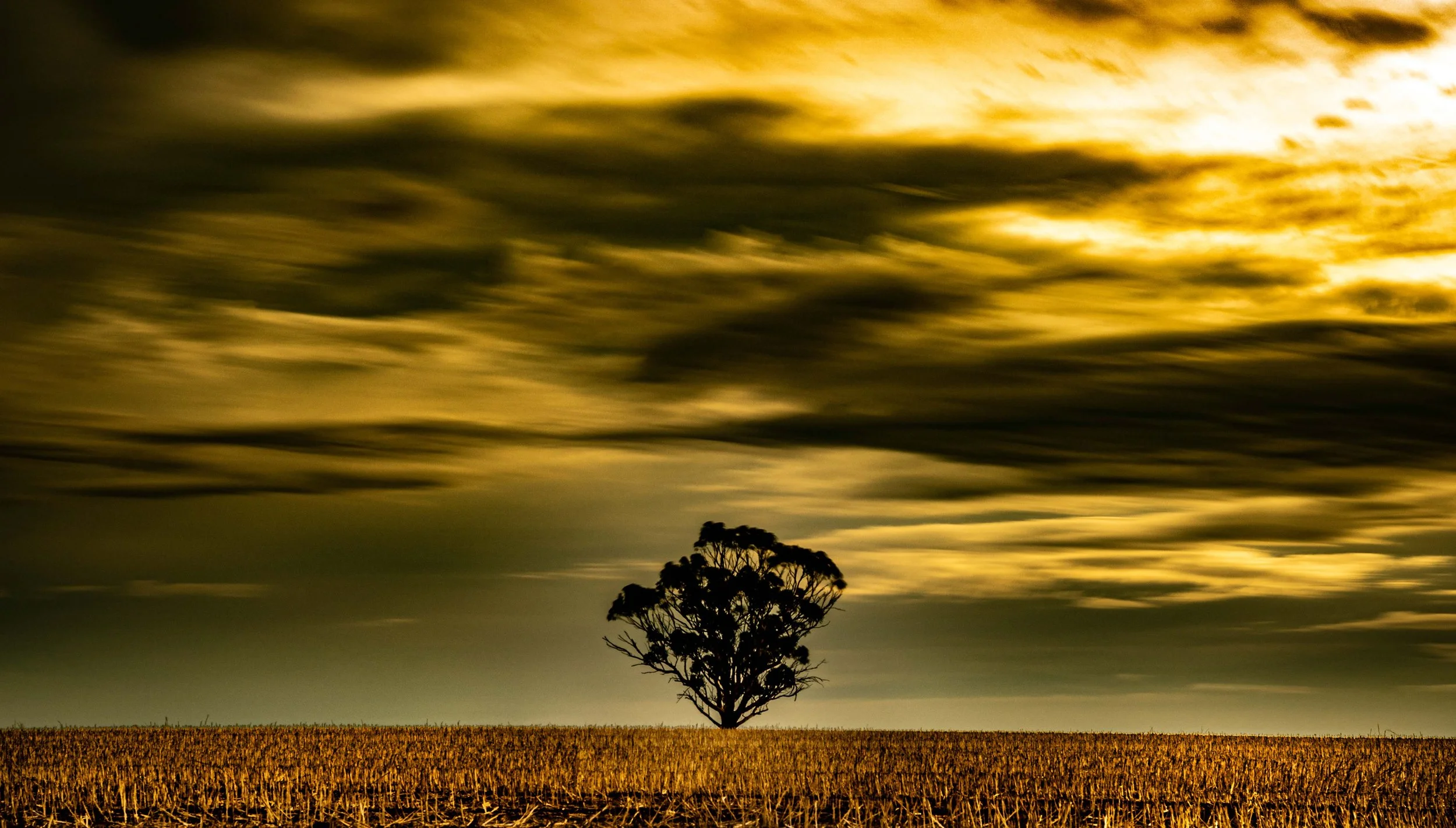 Landscapes WebSite - 053.jpg