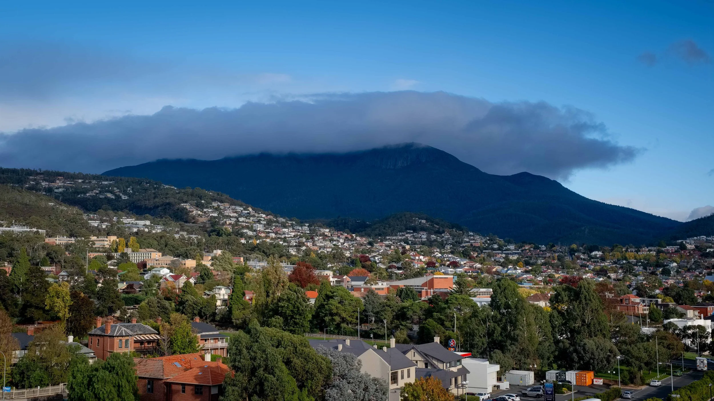 Landscapes WebSite - 012.jpg