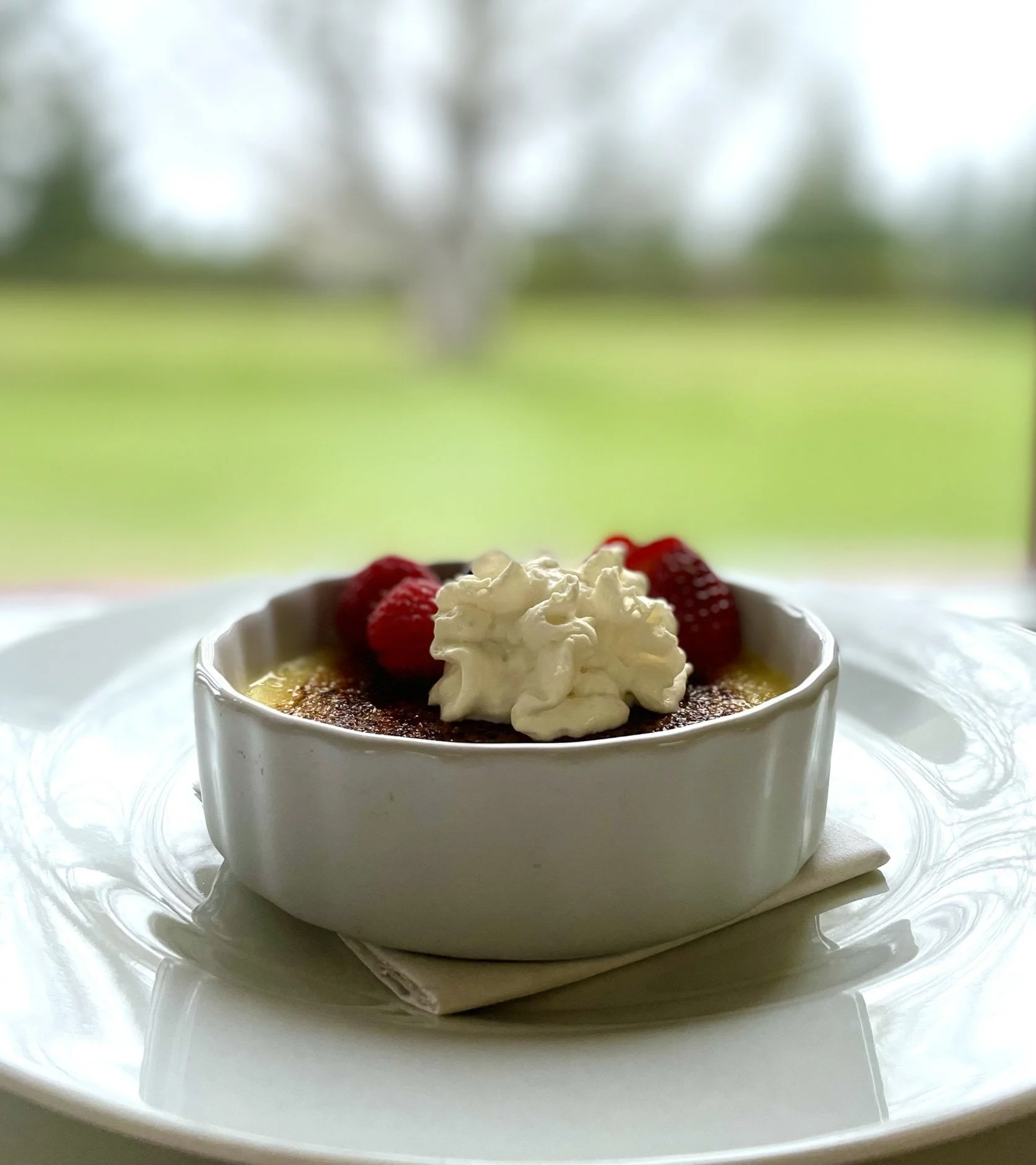 A dessert dish with whipped cream and strawberries in a white ramekin, placed on a white plate with a cloth underneath. The background shows a blurred outdoors scene with green grass and trees.