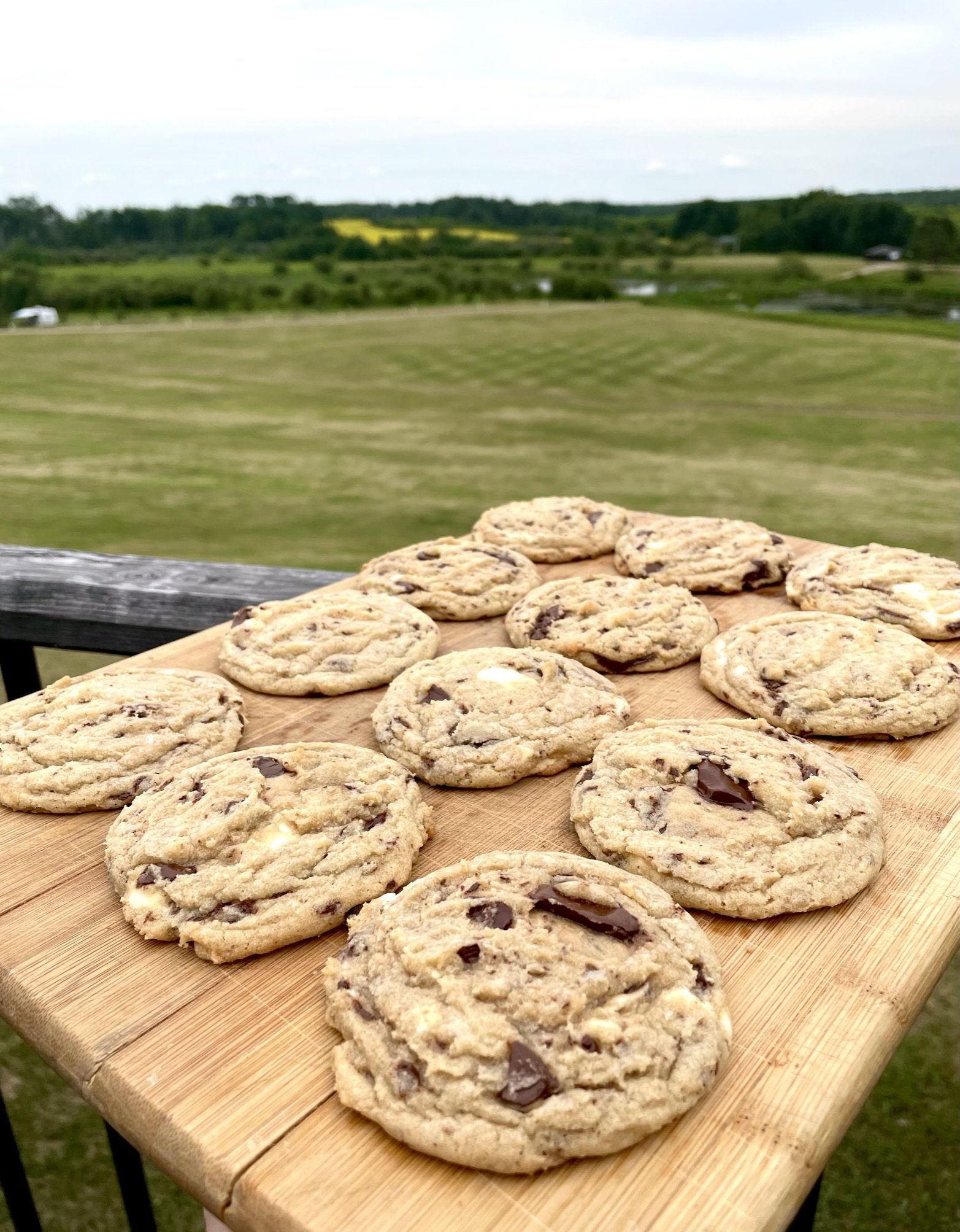 Chocolate chip cookies on a wooden board outdoors with a green landscape and cloudy sky in the background.