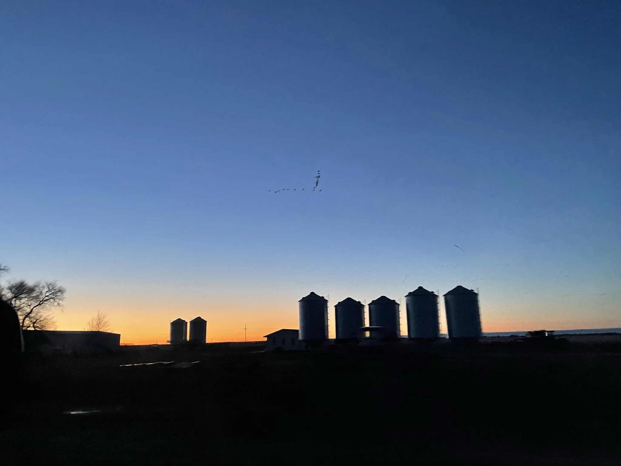 A rural farm landscape at sunset with the silhouettes of four silos and farm buildings against a colorful sky with hues of orange, pink, and blue, and a flock of birds flying overhead.