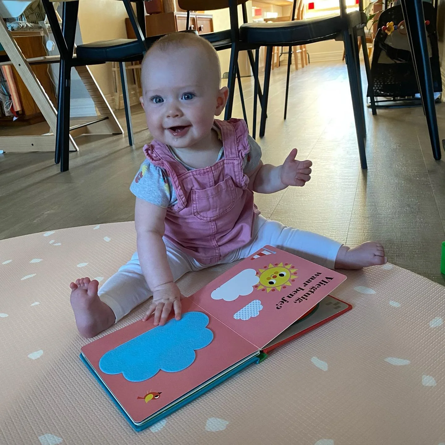 How amazing is this? Newcastle library put a request in for me to have a box of Dutch kids books to borrow. They arrived today. Someone is very excited 😊 
#babybooks #library #dutch #raisingkidsbilingual