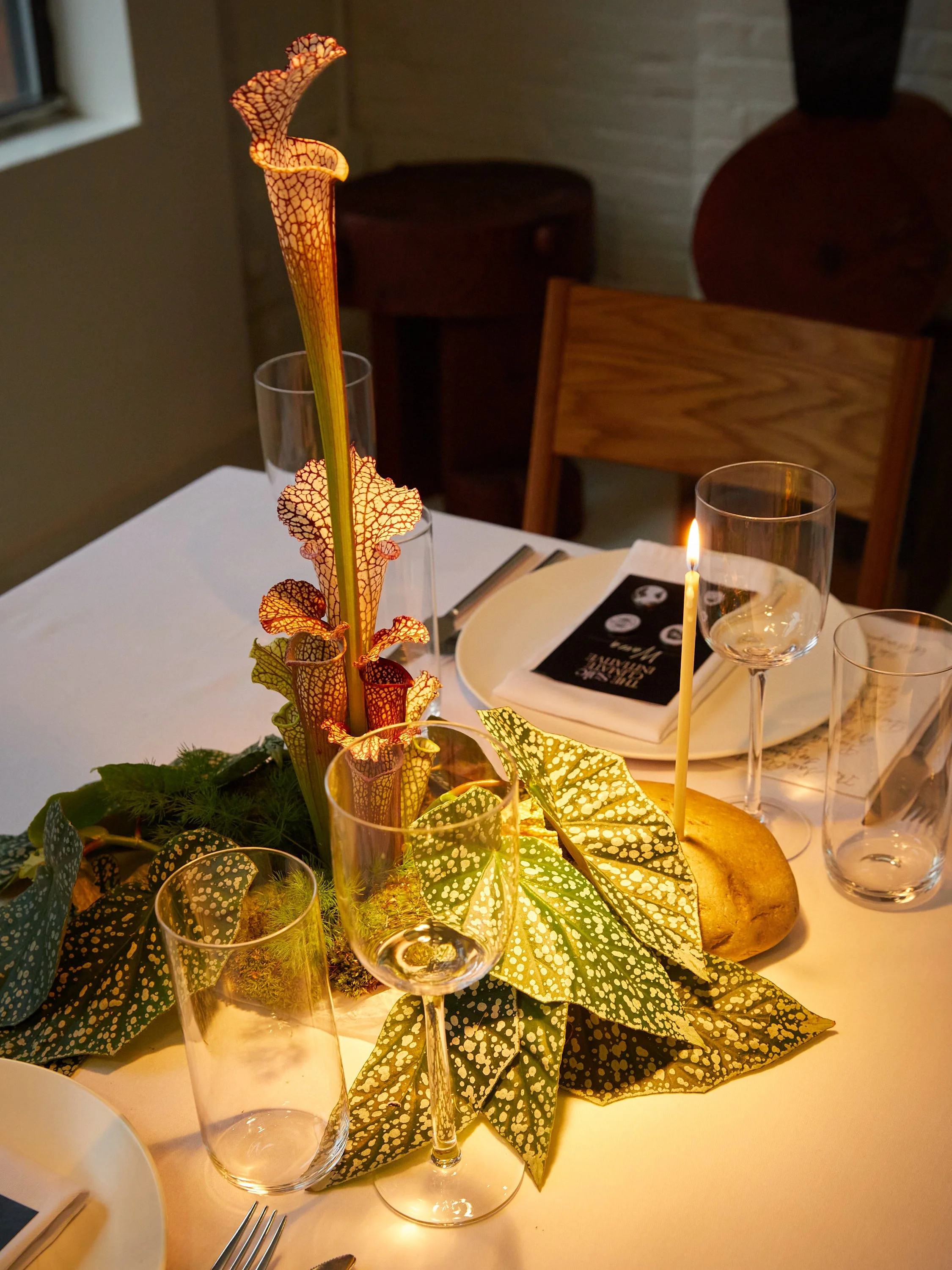 240925_GINDI_SAIE_WOLDY_066.jpg