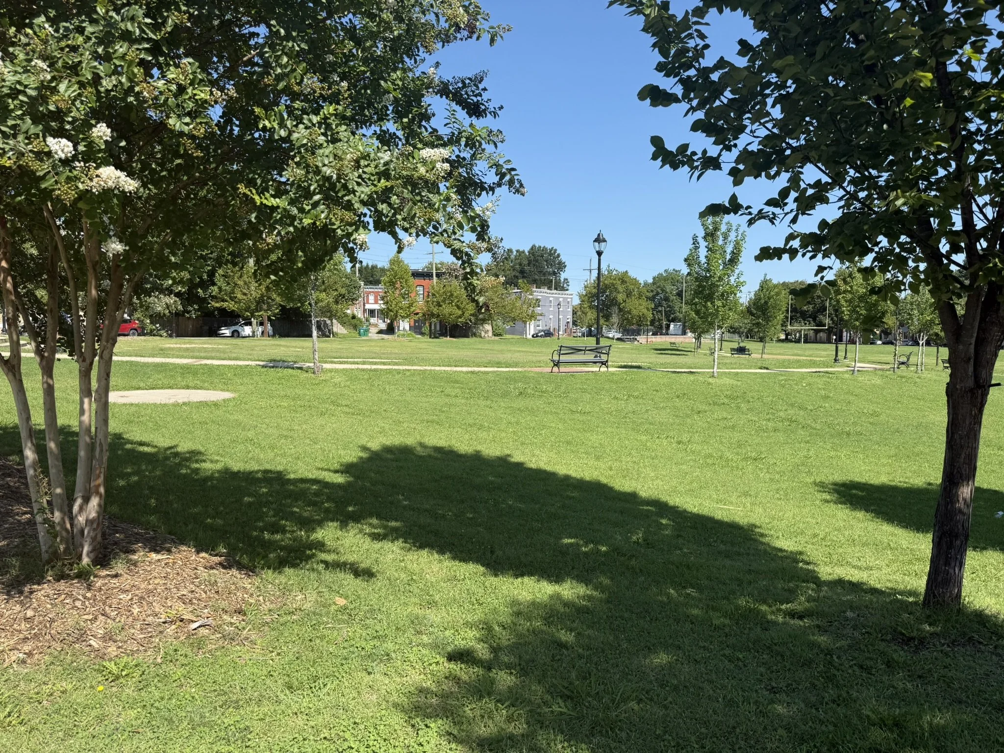 IMG_0967.JPEG