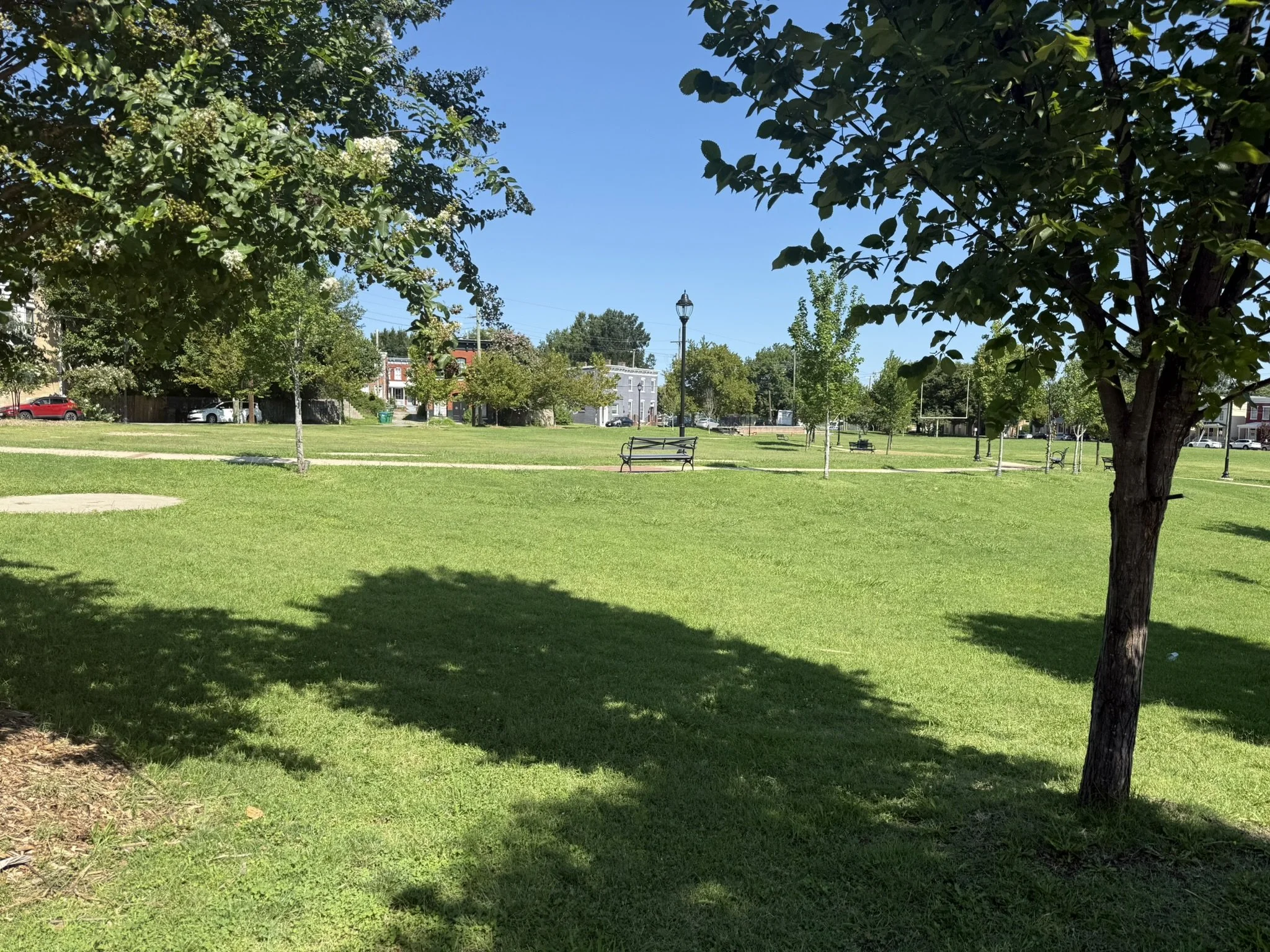 IMG_0968.JPEG