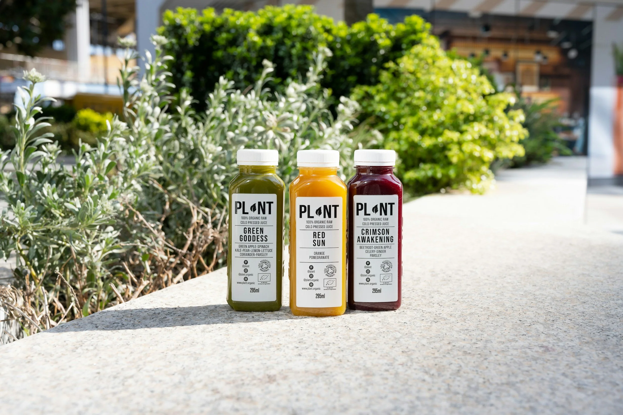 Three bottles of organic raw cold-pressed juice placed on a stone surface outdoors with greenery and buildings in the background. The bottles are labeled 'Green Goddess,' 'Red Sun,' and 'Crimson Awakening.'