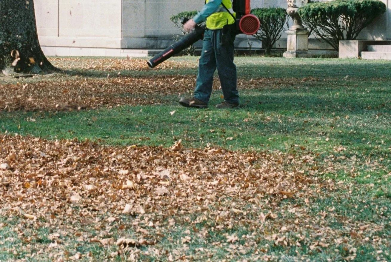 A person wearing a yellow vest and jeans using a leaf blower to clear fallen leaves on a green lawn.