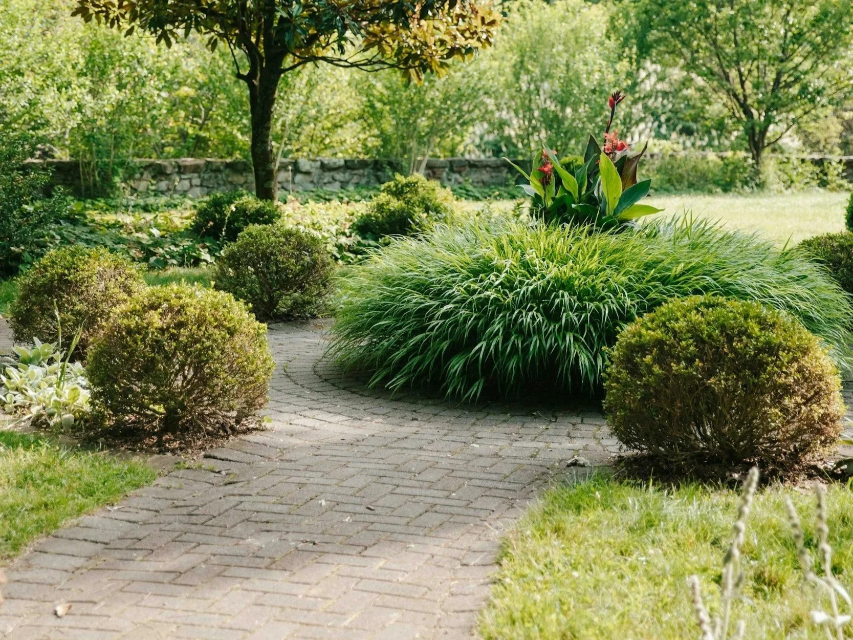 A garden pathway made of bricks curves through a lush garden with various green shrubs, a large ornamental grass, and blooming plants, with trees and a stone wall in the background.
